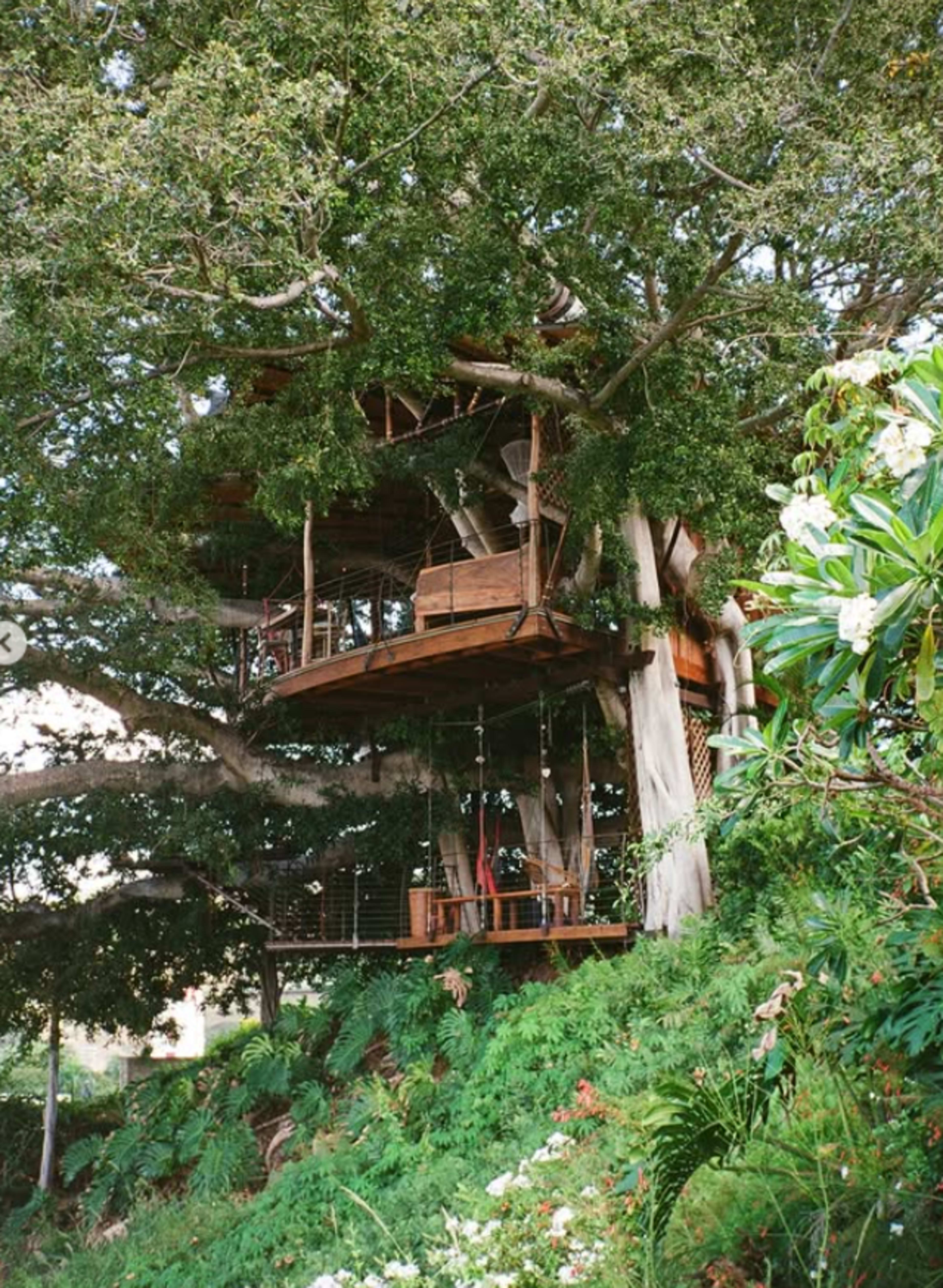Mahina Treehouse with Diamondhead & Skyline View Image in Makiki/Lower/ Punchbowl/Tantalus, honolulu, HI