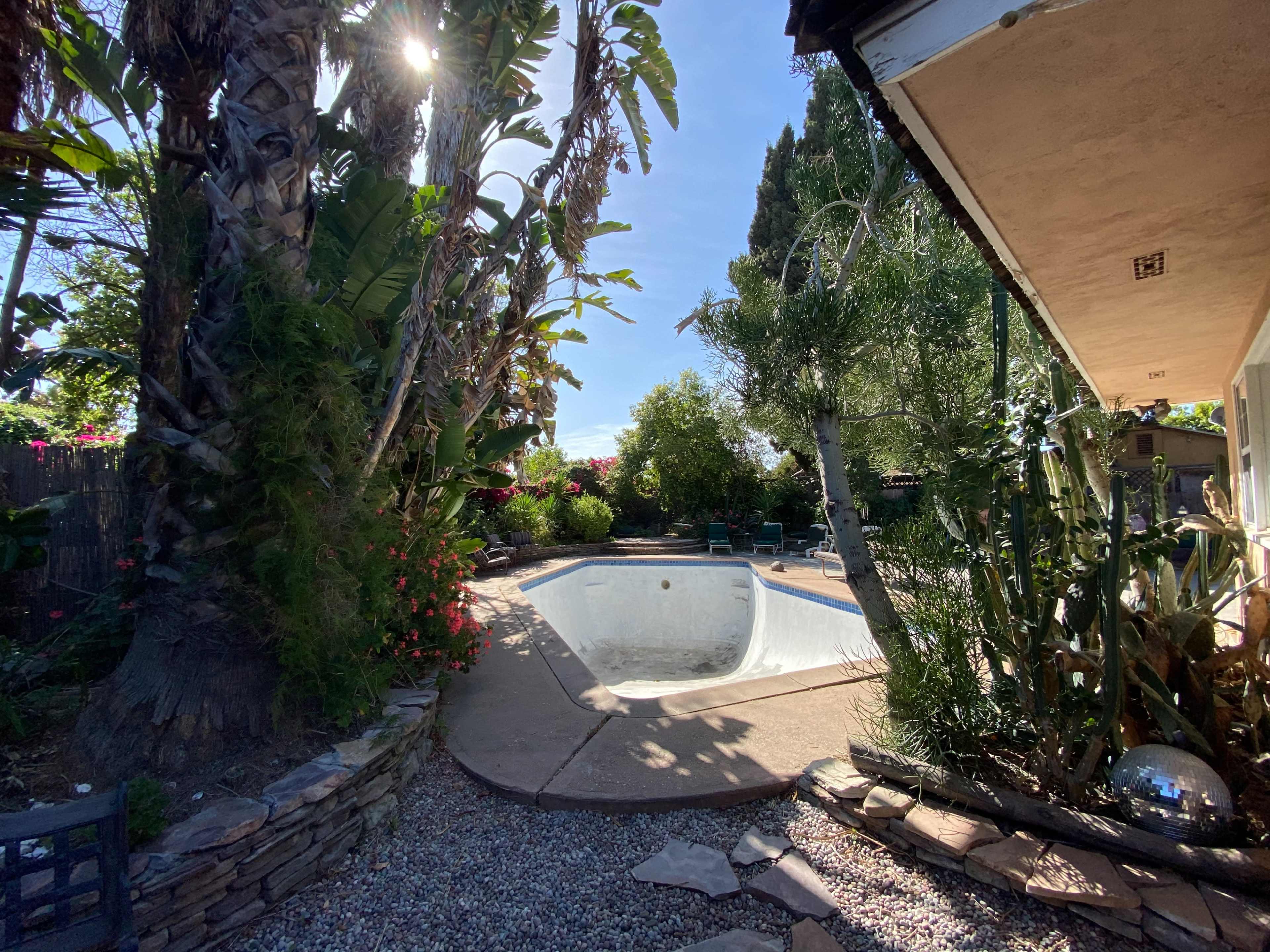 The scene shows an empty pool surrounded by tropical plants and trees in a backyard setting.