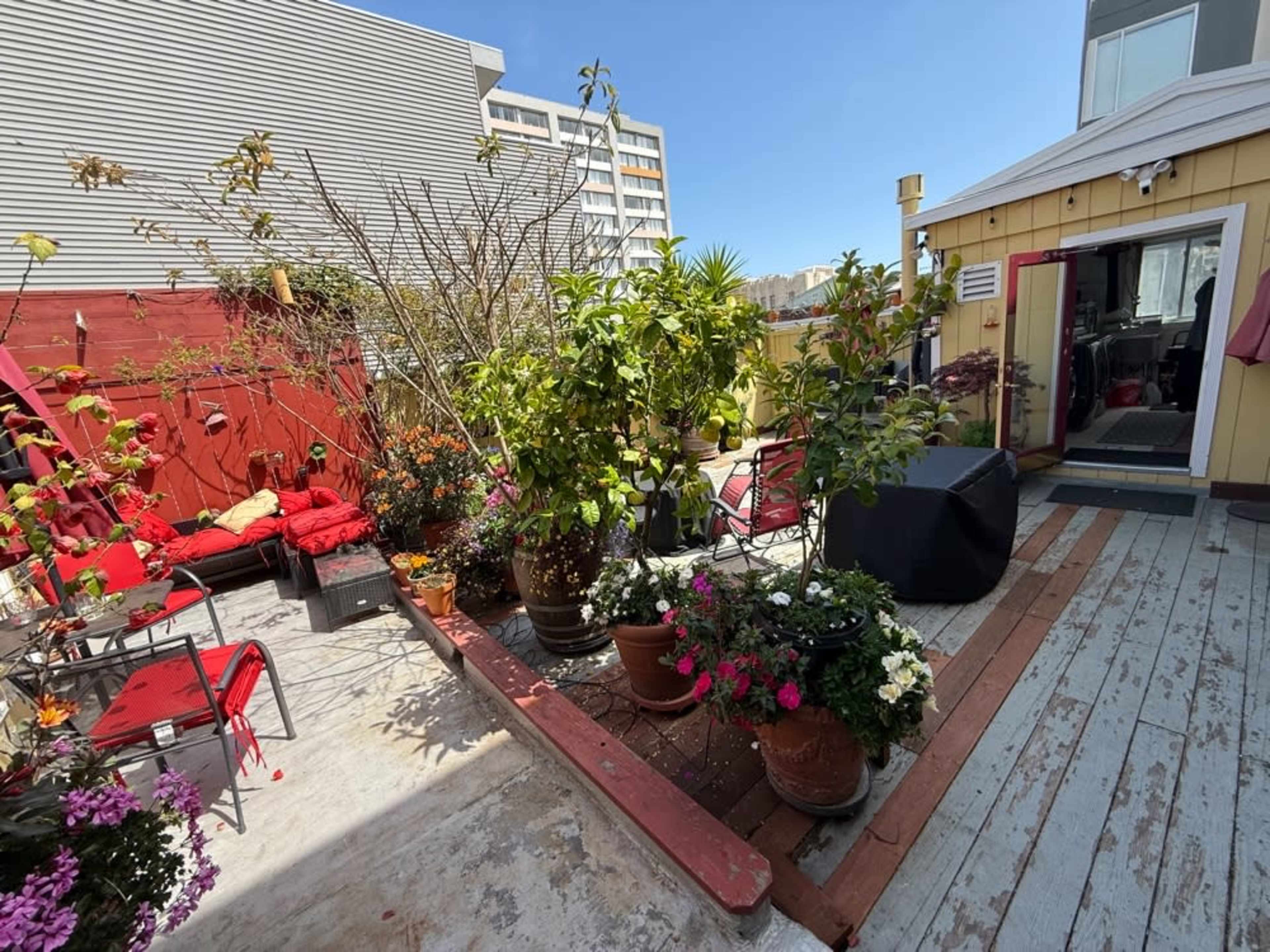 The image shows a rooftop garden with various potted plants and seating areas, surrounded by a wooden deck and a building in the background.