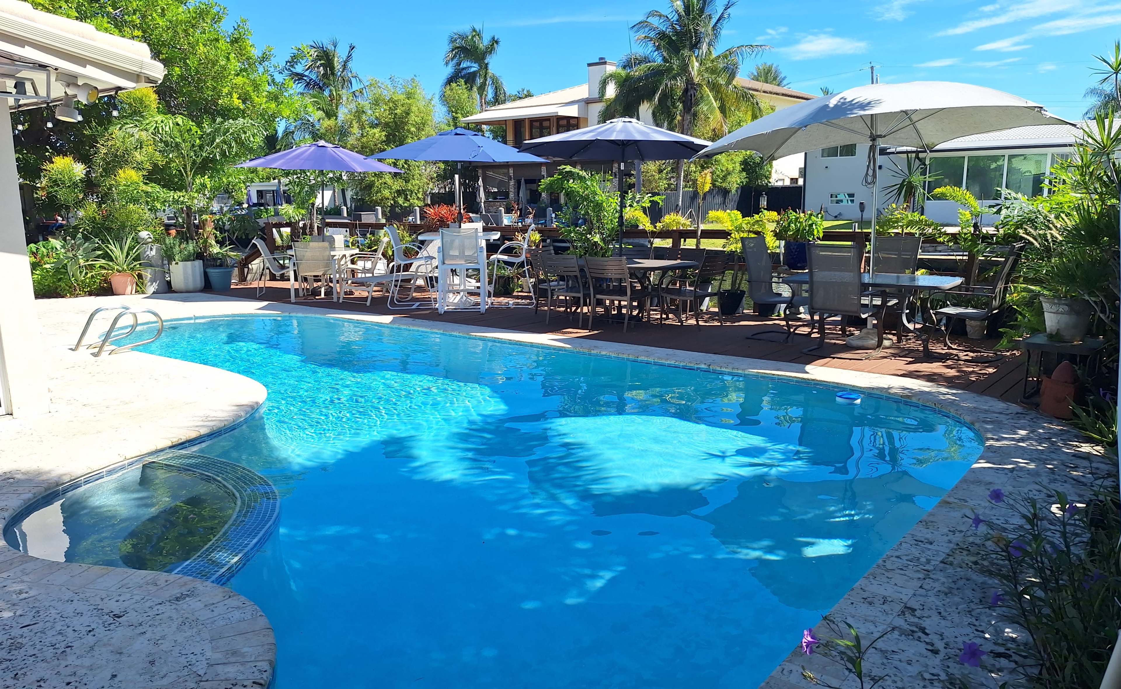 The image shows a backyard swimming pool surrounded by lounge chairs, umbrellas, and various plants in a sunny setting.