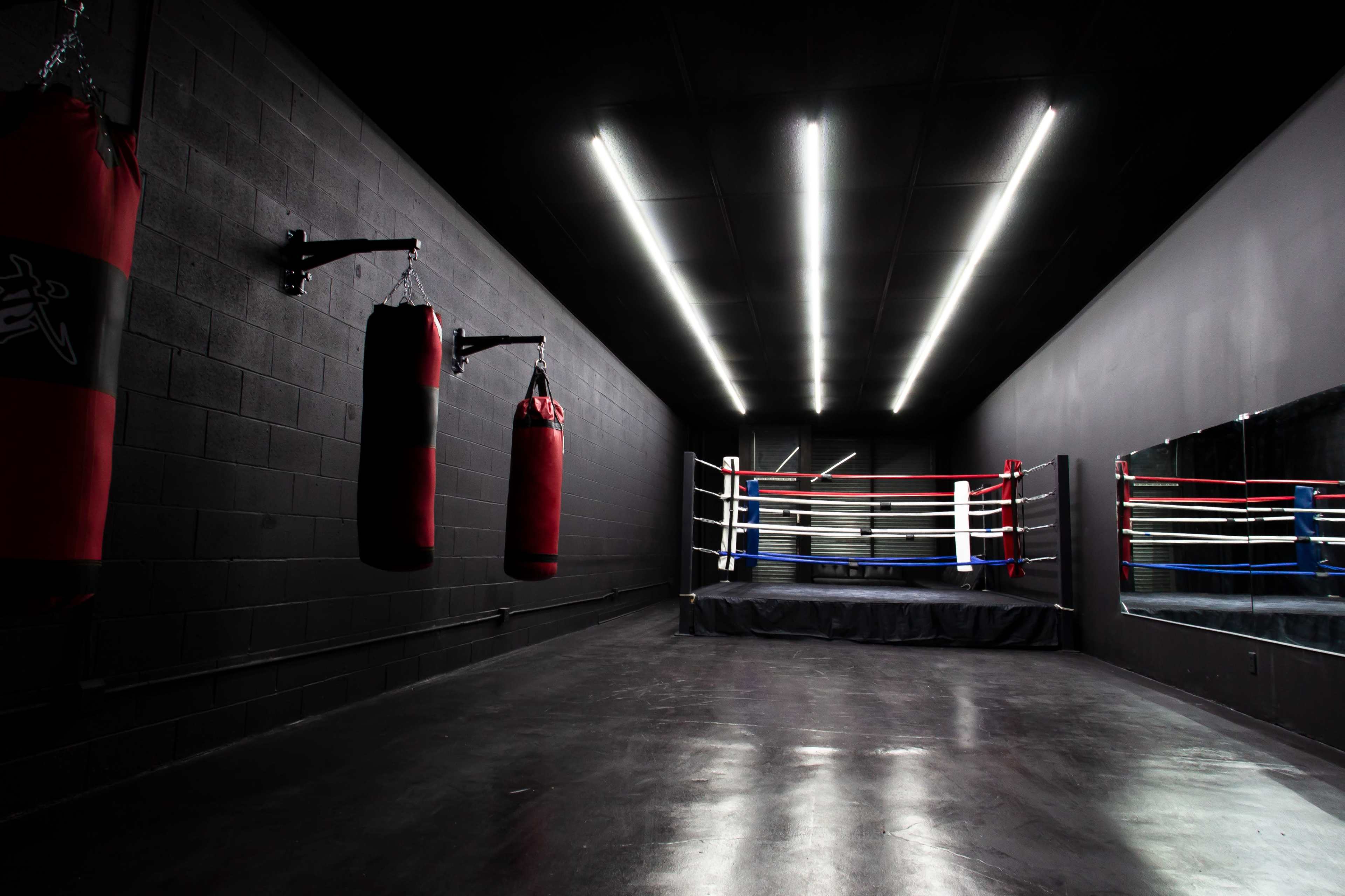 Sleek, Modern Boxing Studio with Atomospheric Lighting Image in Central LA, los angeles, CA