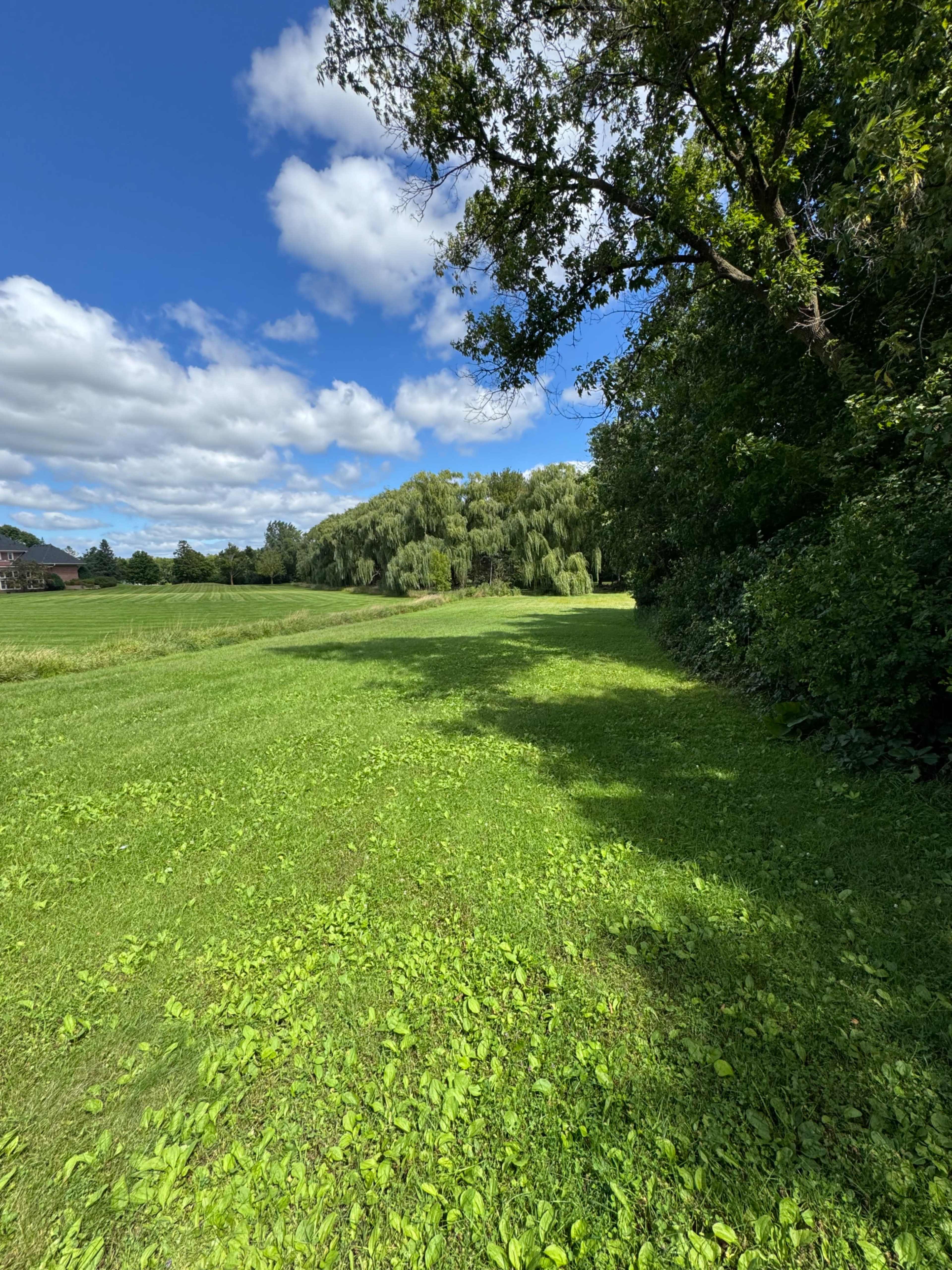 A green field bordered by trees and a cloudy blue sky stretches into the distance.