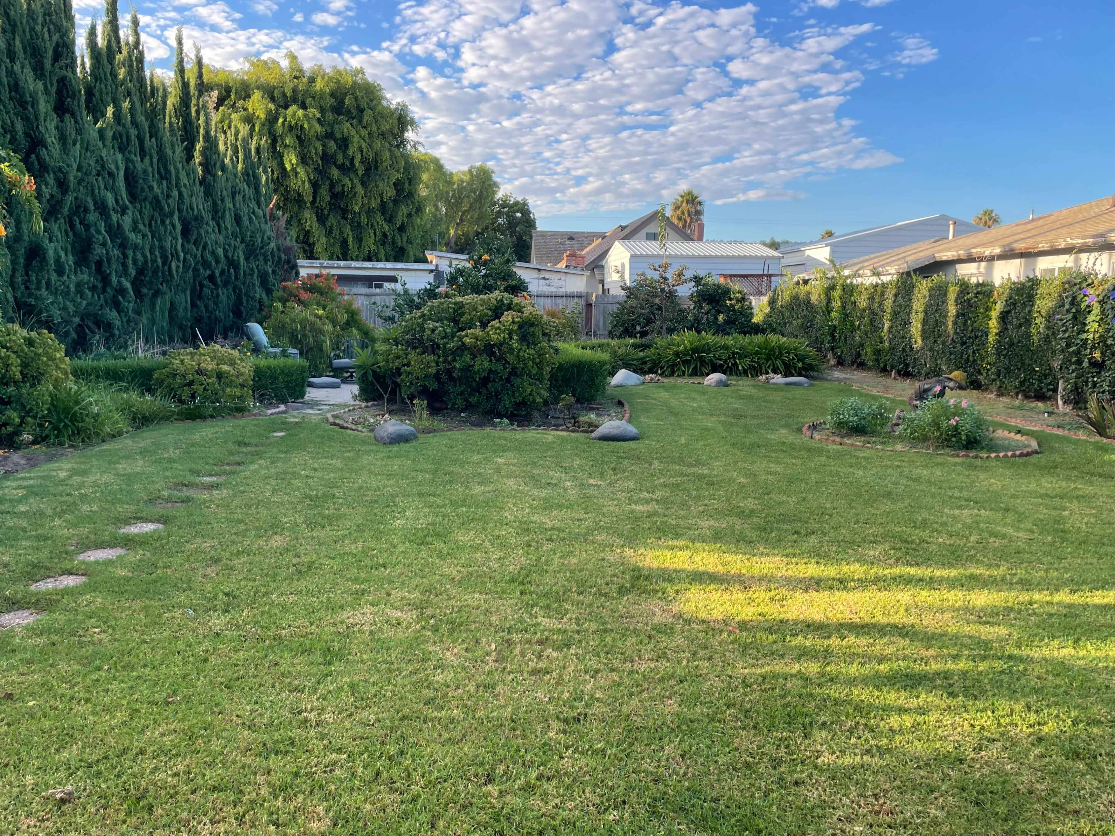 The image shows a well-maintained backyard with a grassy lawn, shrubs, and stone pathways, bordered by tall evergreen trees.