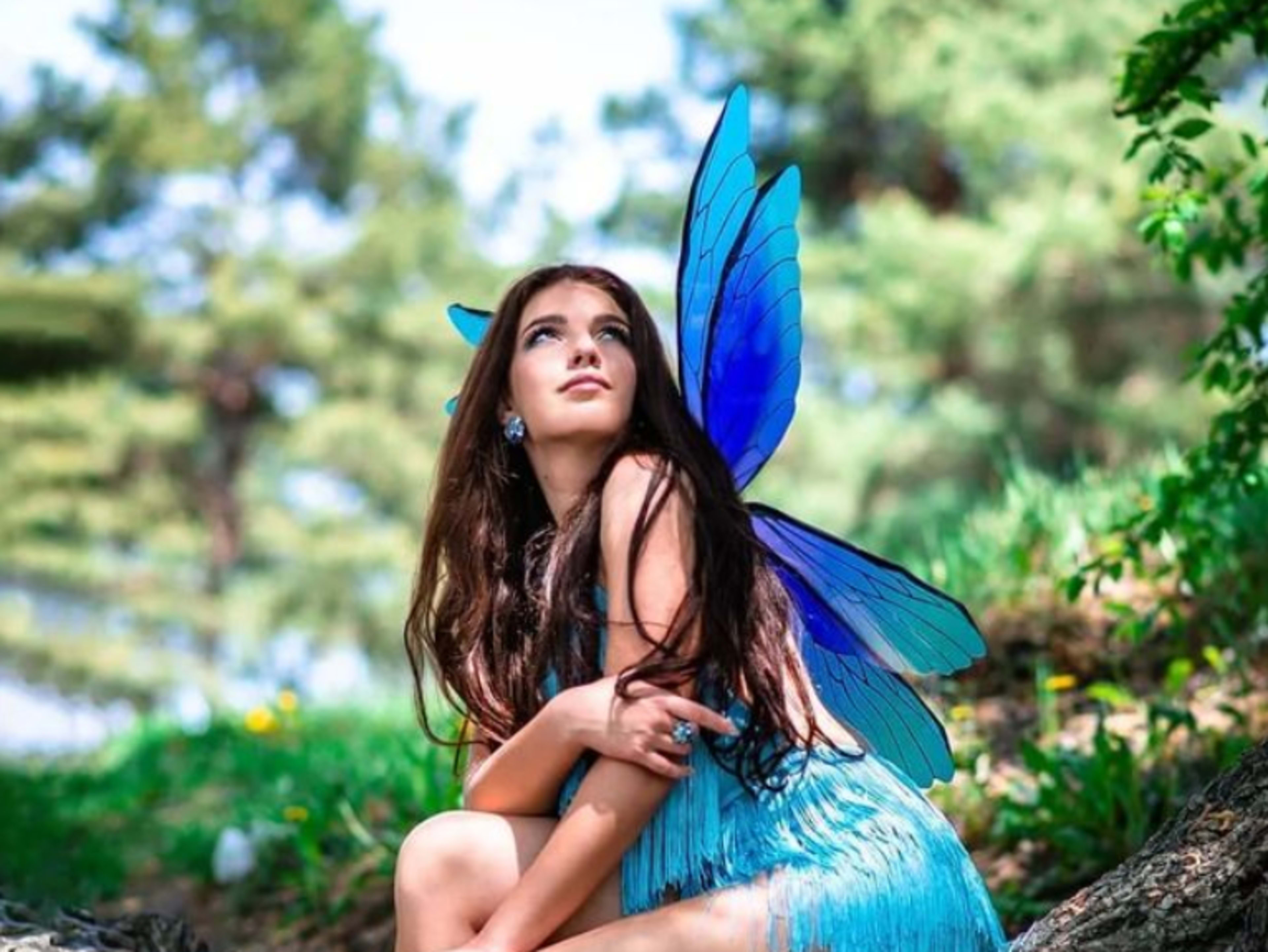 Blue Multi Fairy Wings