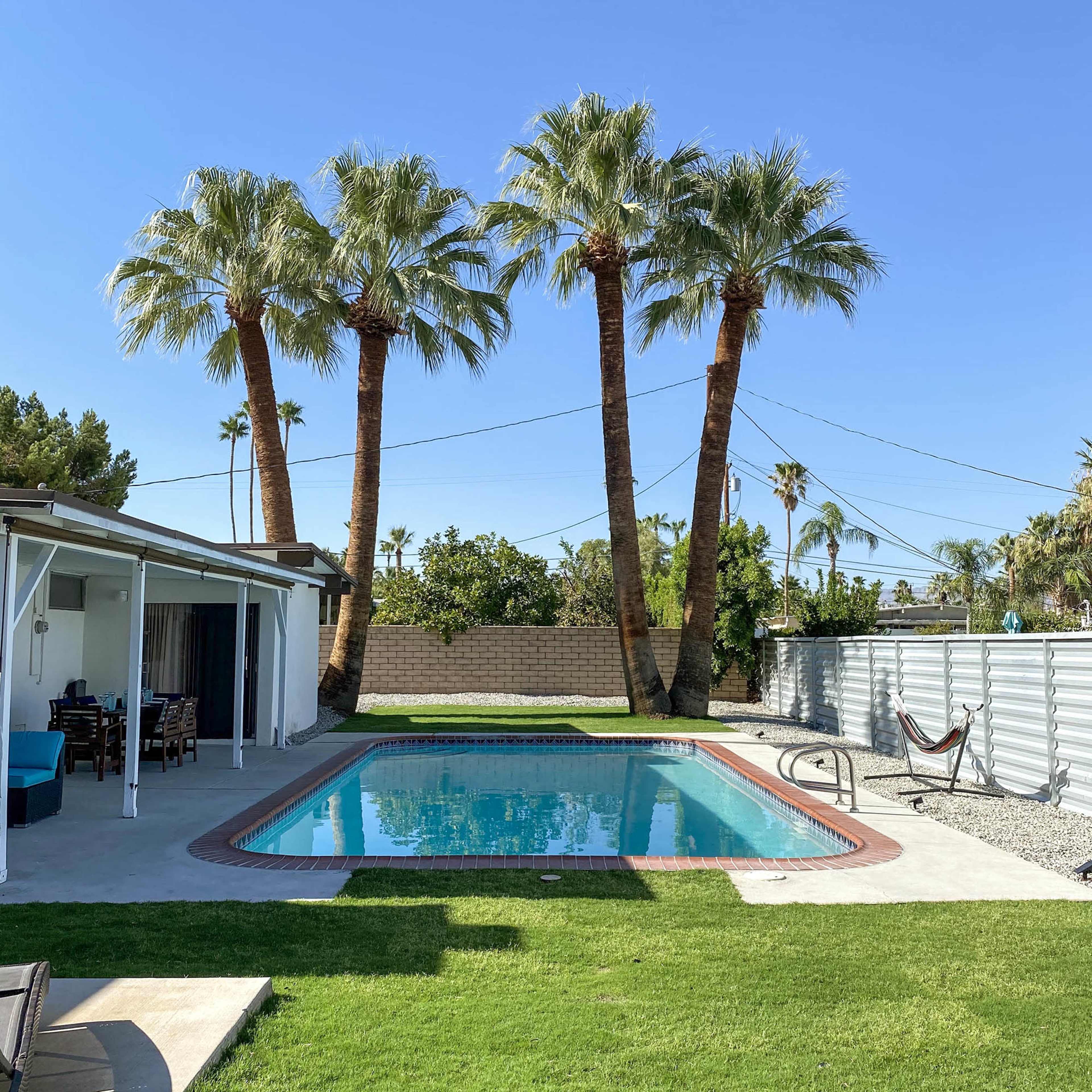 A swimming pool is situated in a backyard surrounded by palm trees, with lounge chairs and a hammock nearby.