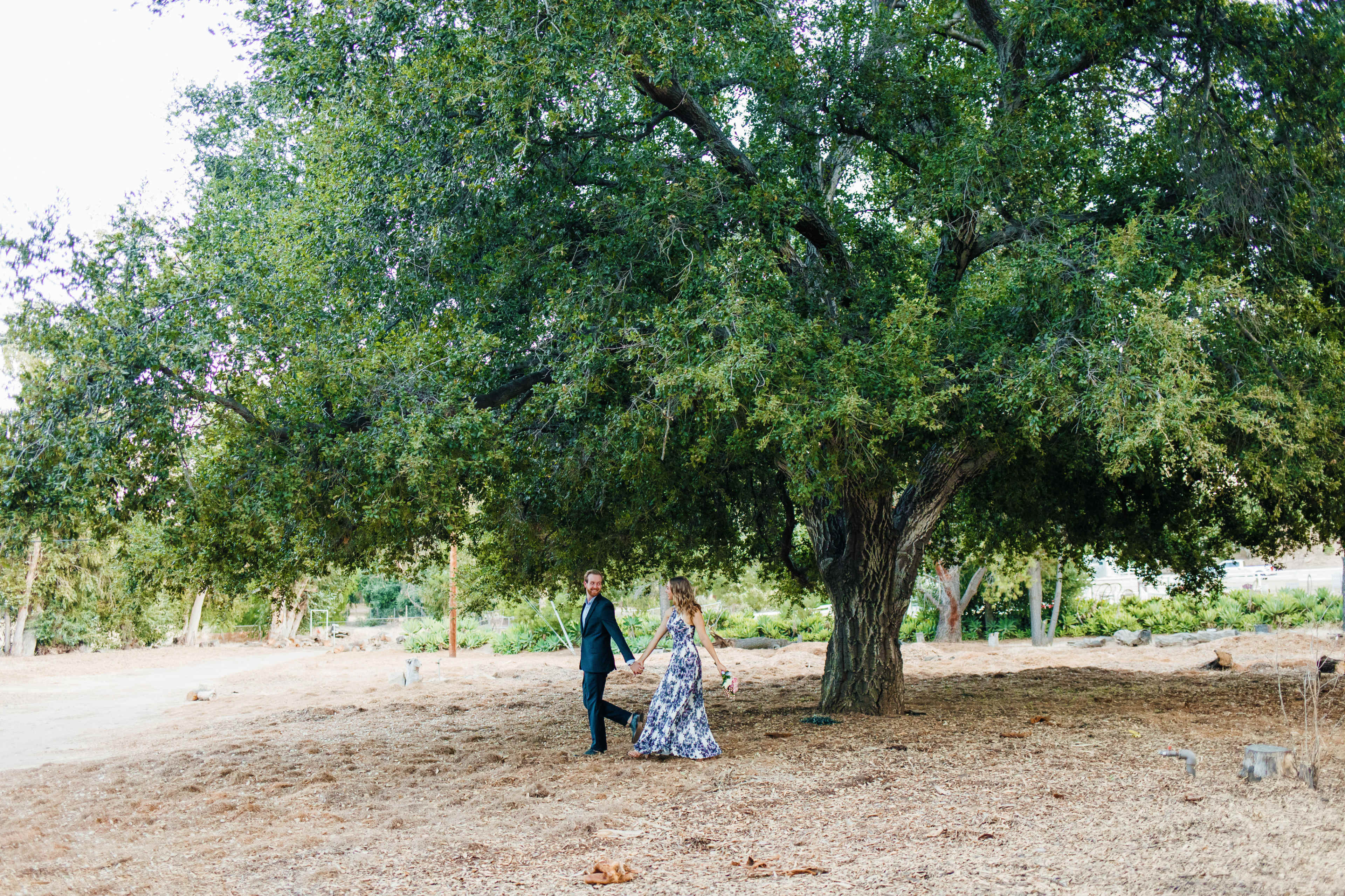 A couple walks hand in hand beneath a large tree in a grassy area.