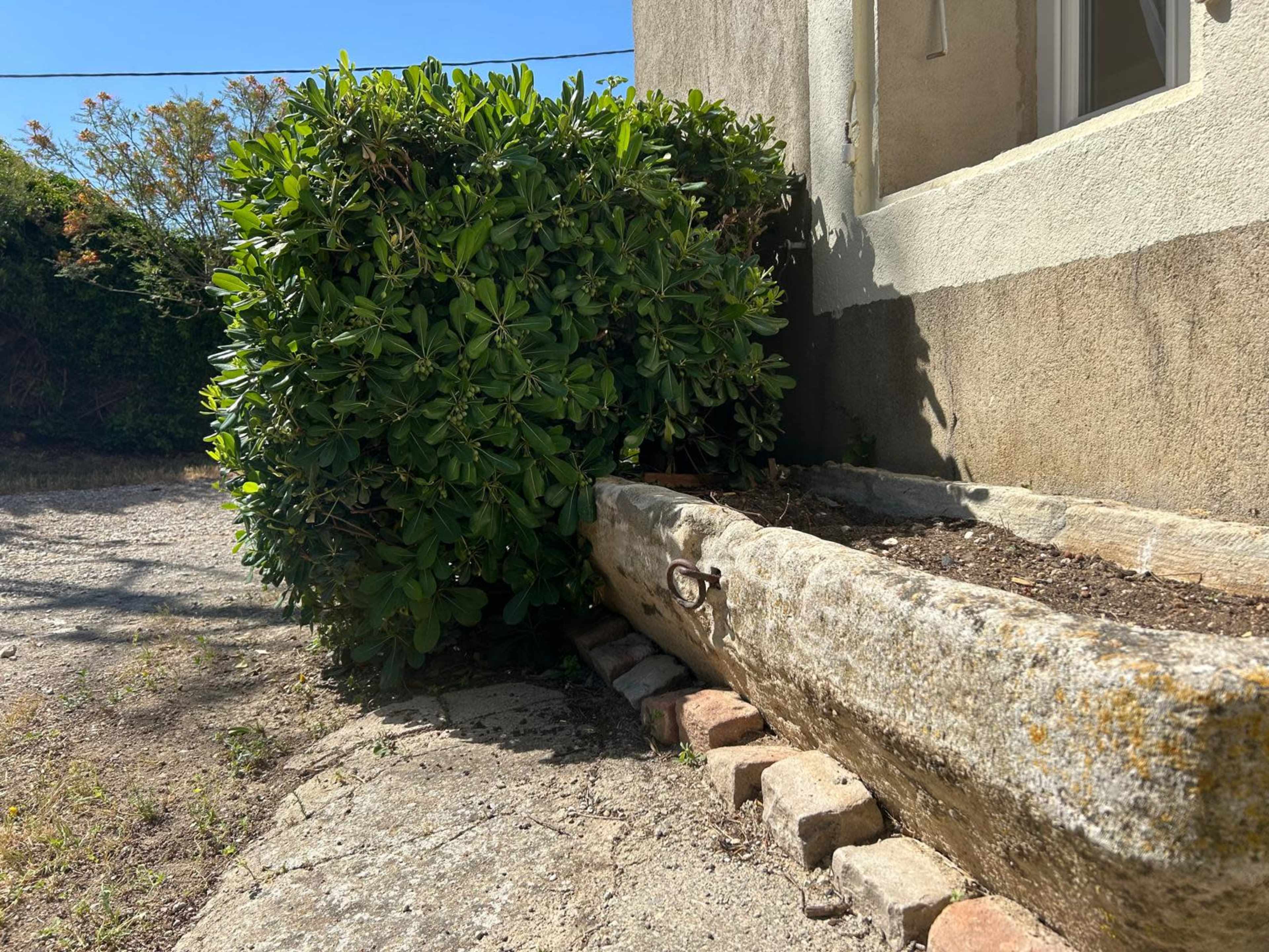A stone planter, partially filled with soil, is positioned next to a bush and the wall of a building.