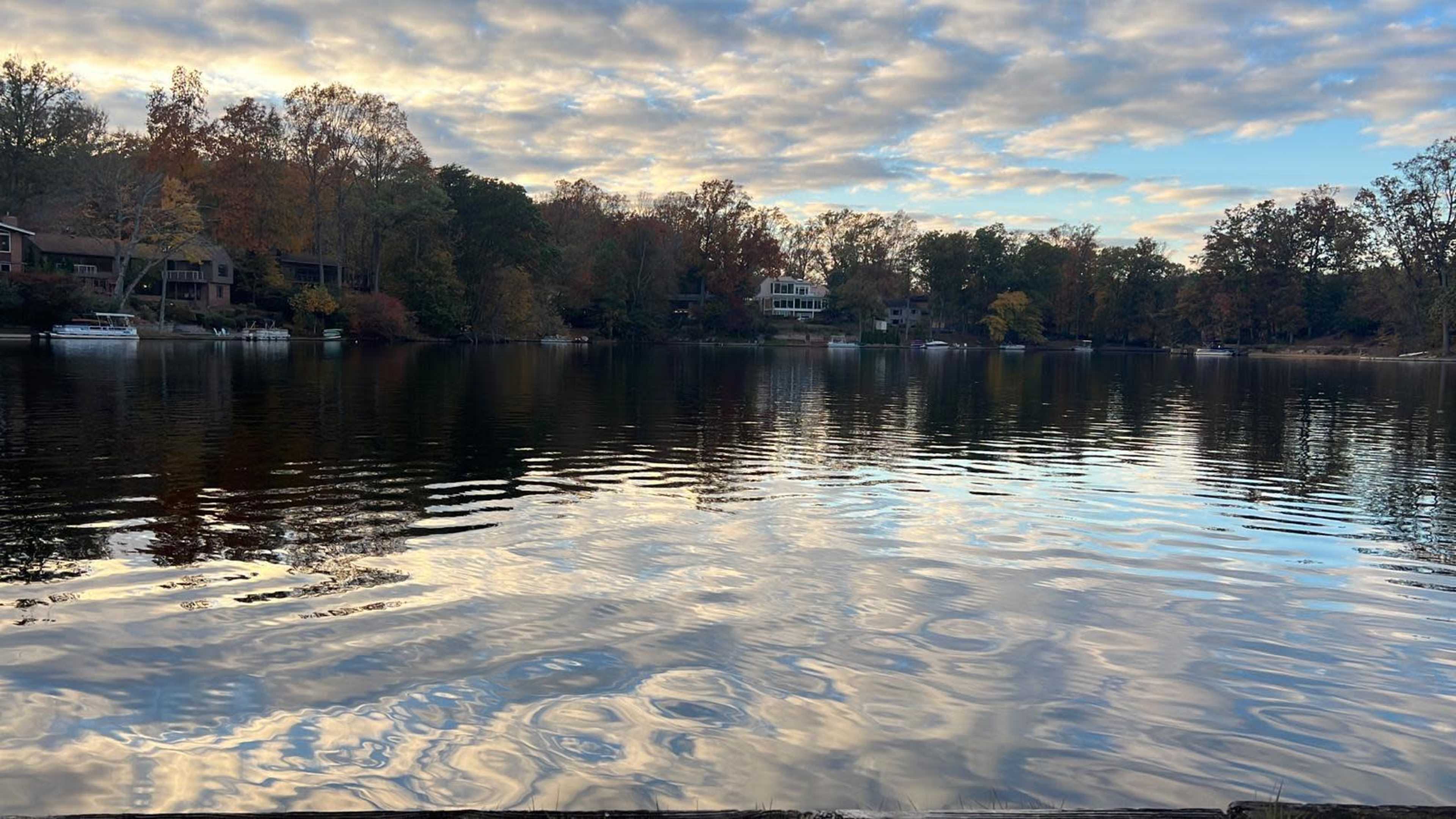 15 mins from DC Private backyard of house on the Lake Image in Lake Barcroft, falls Church, VA