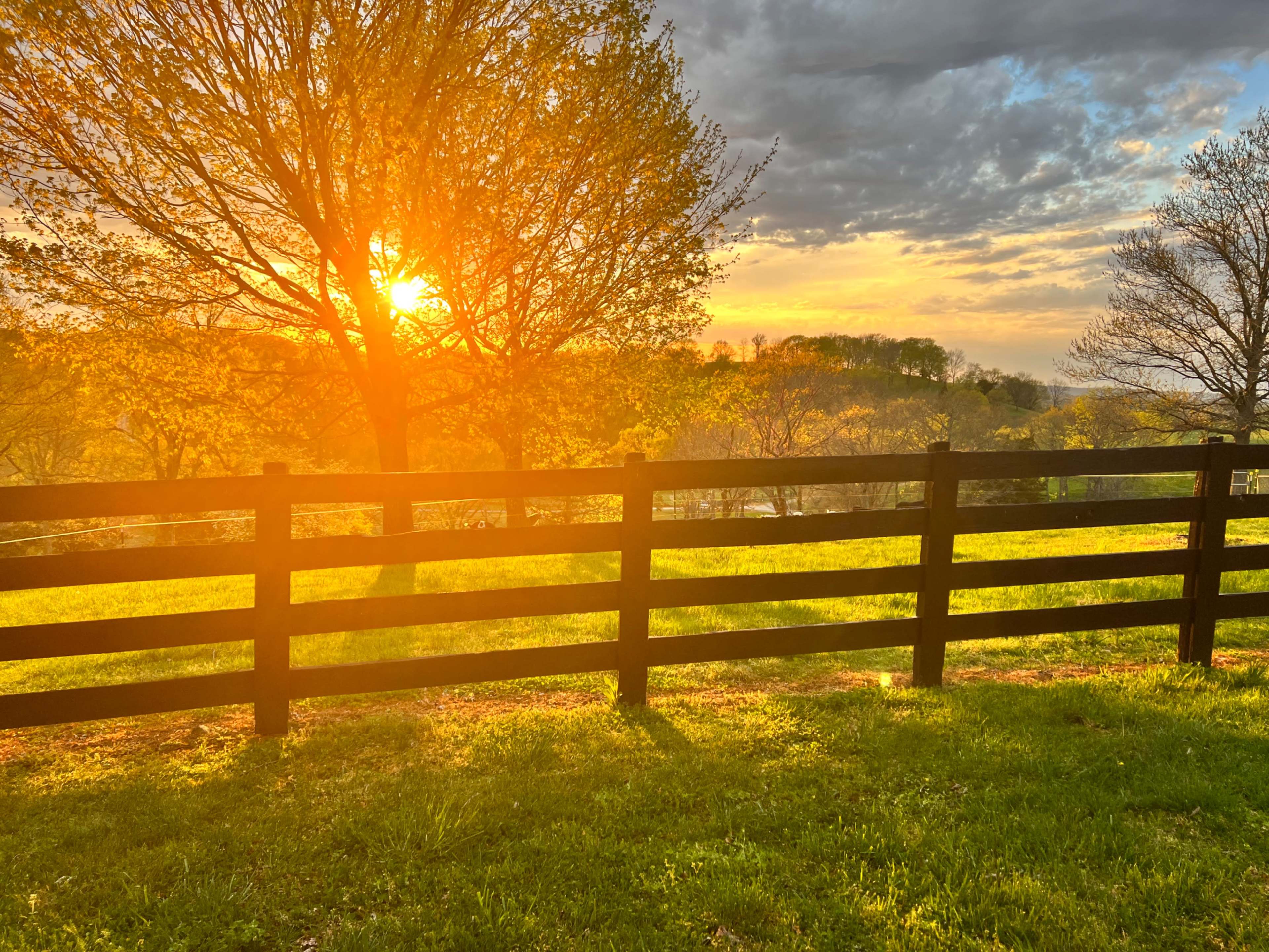 The sun sets beyond a wooden fence, illuminating a grassy field and trees with warm golden light.