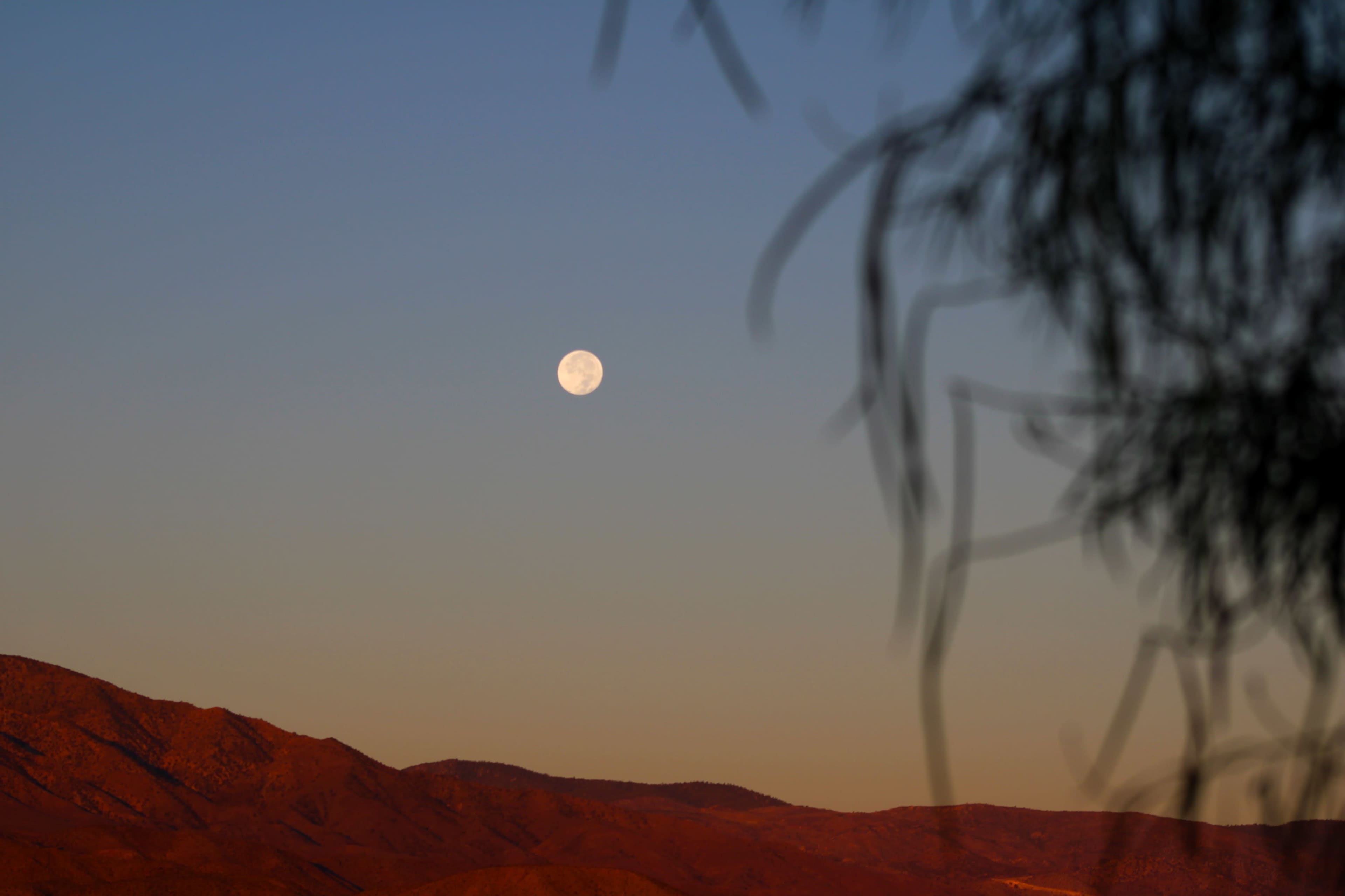 Desert Ranch with Mountain Views Image in , Johnson Valley, CA