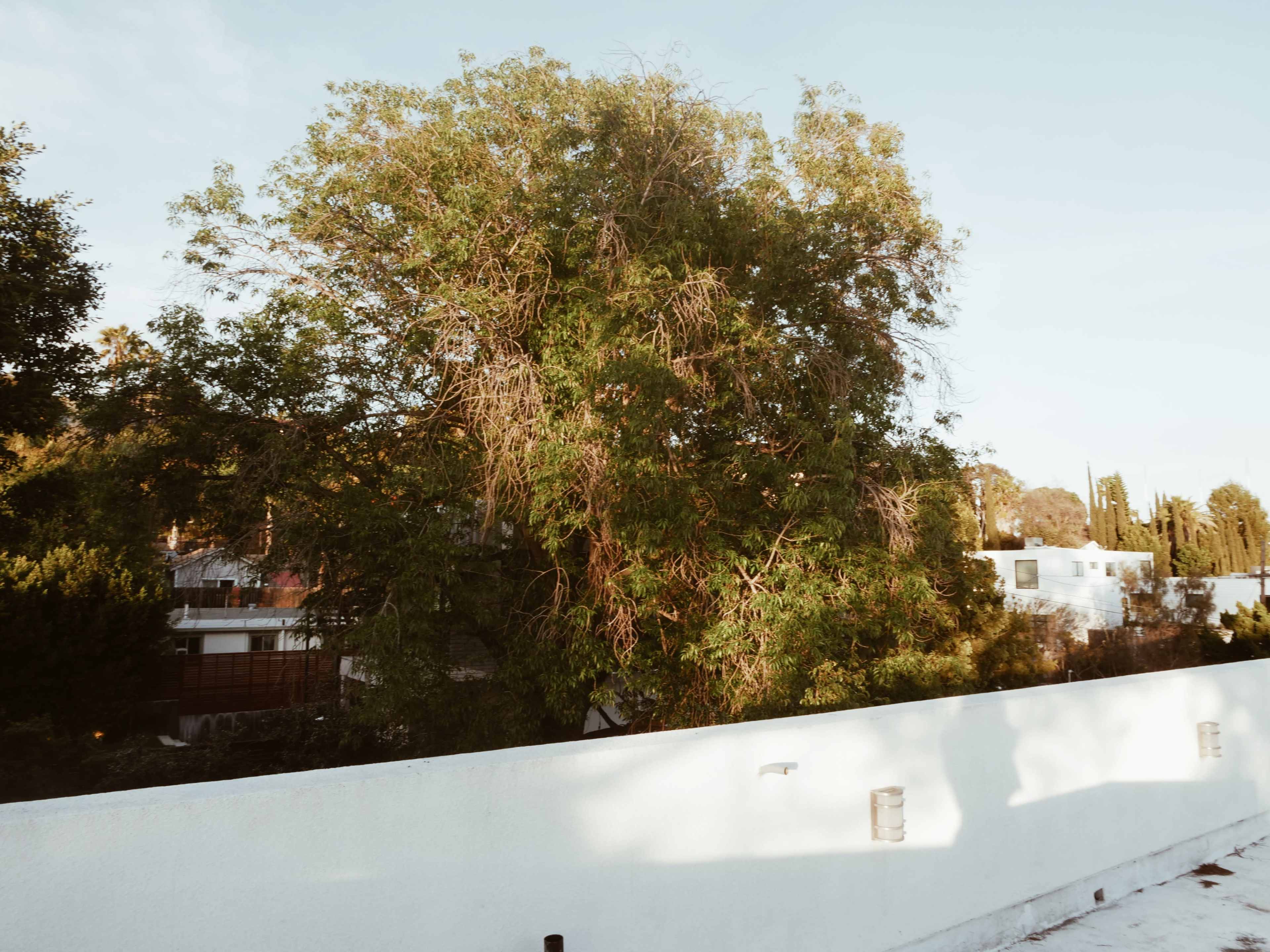 Spacious Rooftop with Gorgeous Skyline View Image in Silver Lake, Los Angeles, CA