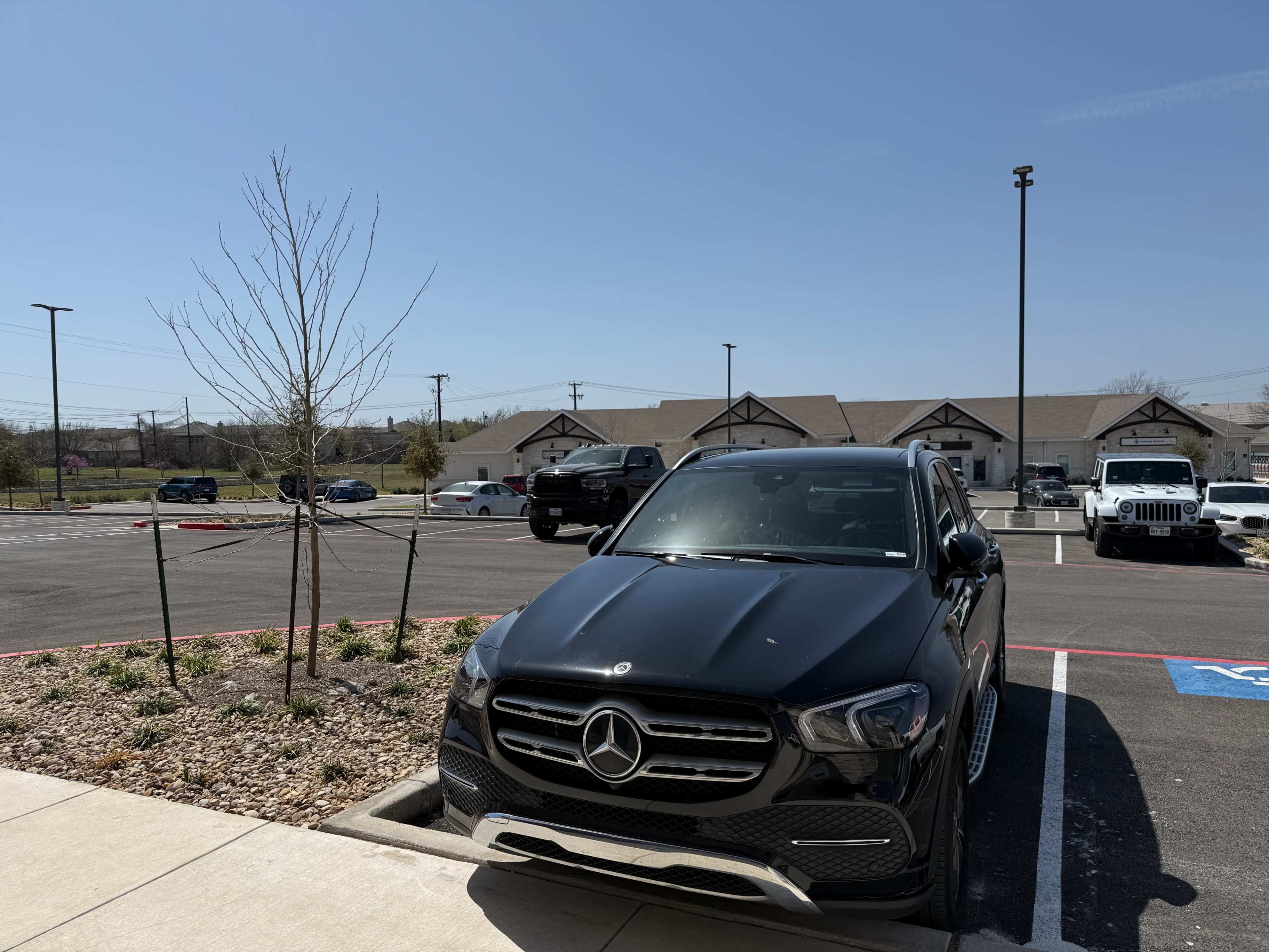 A black Mercedes-Benz SUV is parked in a space with a small tree nearby and a row of vehicles in the background.