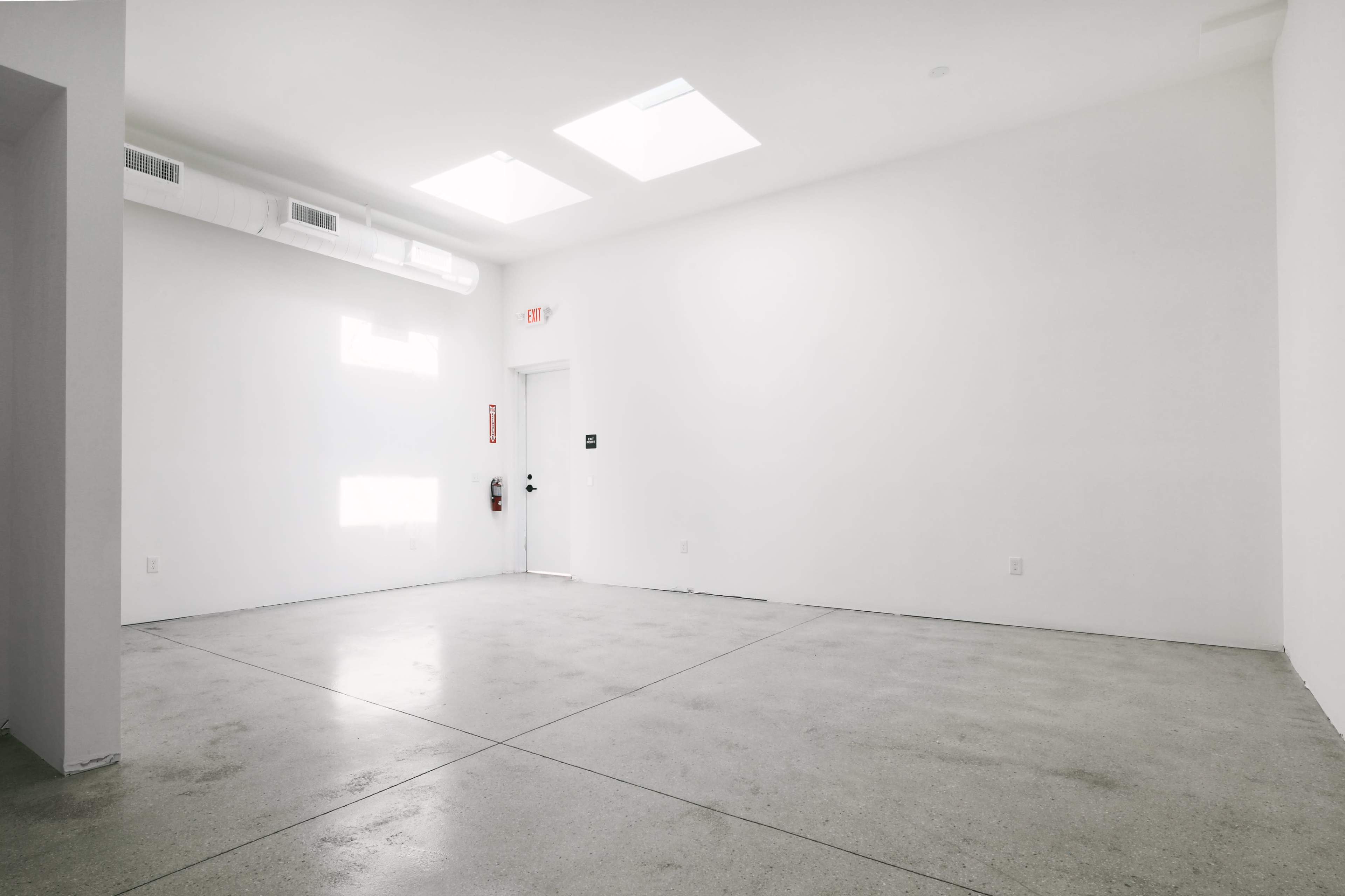 An empty room with white walls, a concrete floor, and a door with a window above it, illuminated by natural light coming through two skylights.