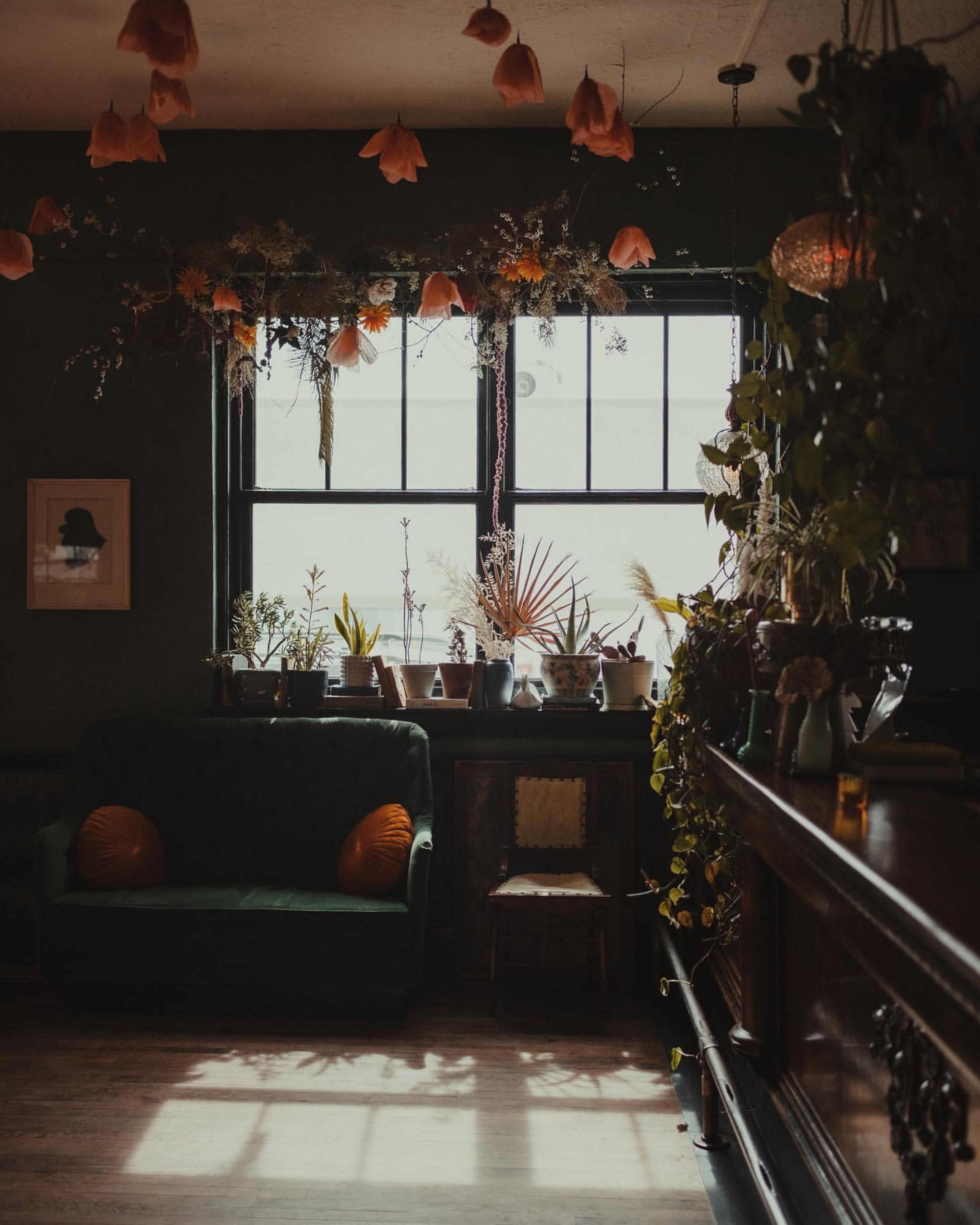 A cozy room features a green couch and large windows adorned with plants and hanging light fixtures.