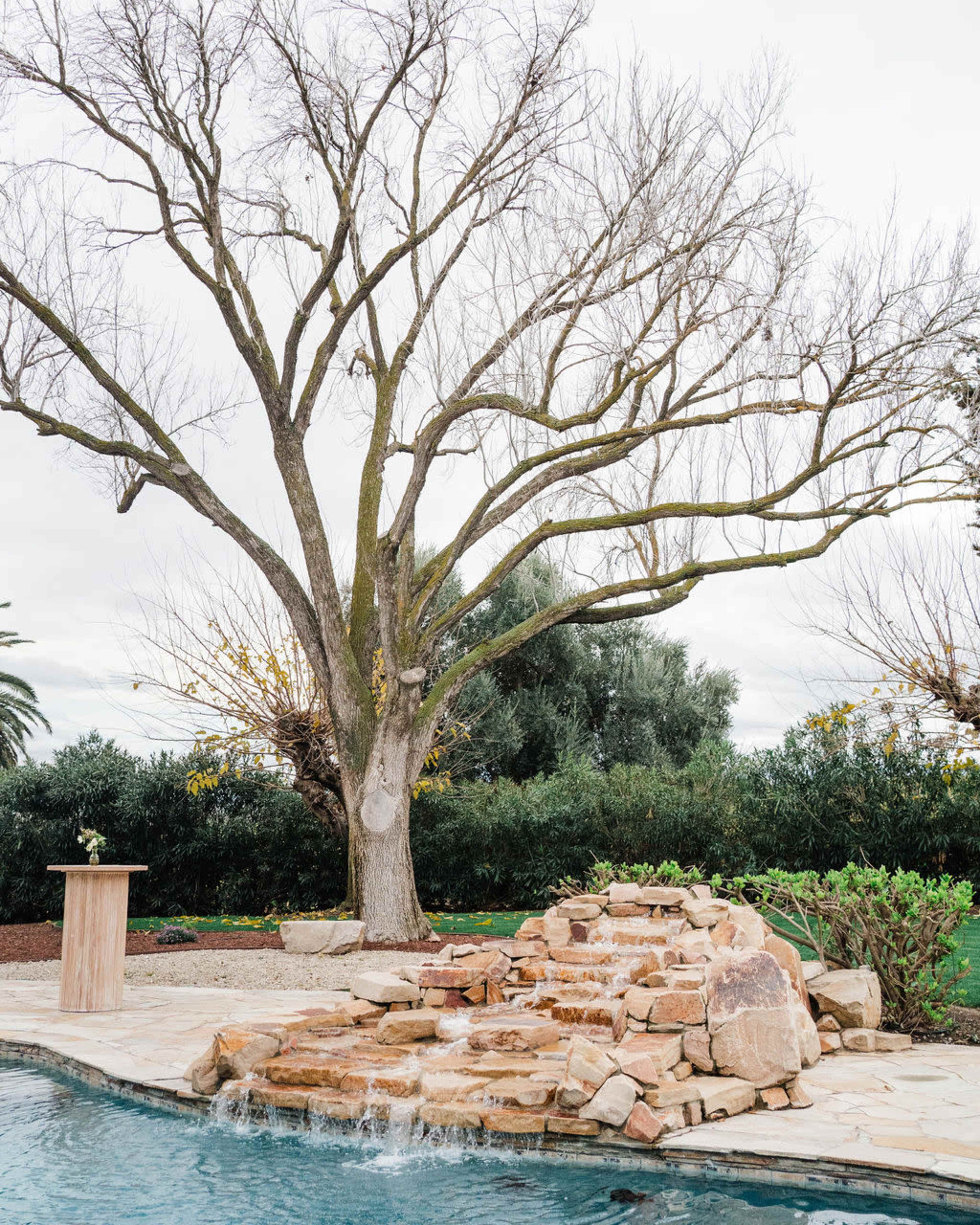 A bare tree stands next to a stone waterfall beside a swimming pool, set against a cloudy sky.