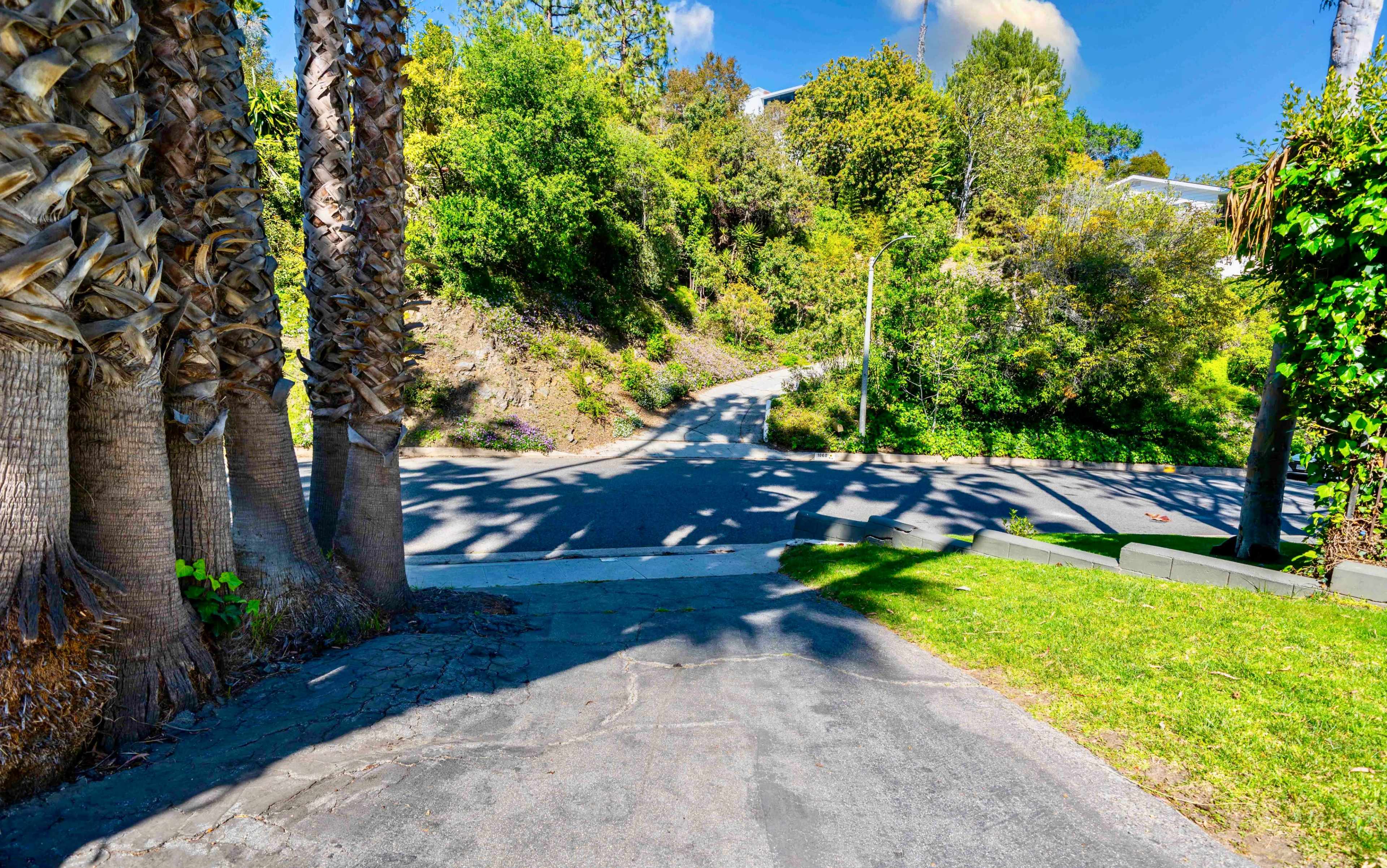 A pathway forks at the bottom of a steep hill, flanked by palm trees and greenery.