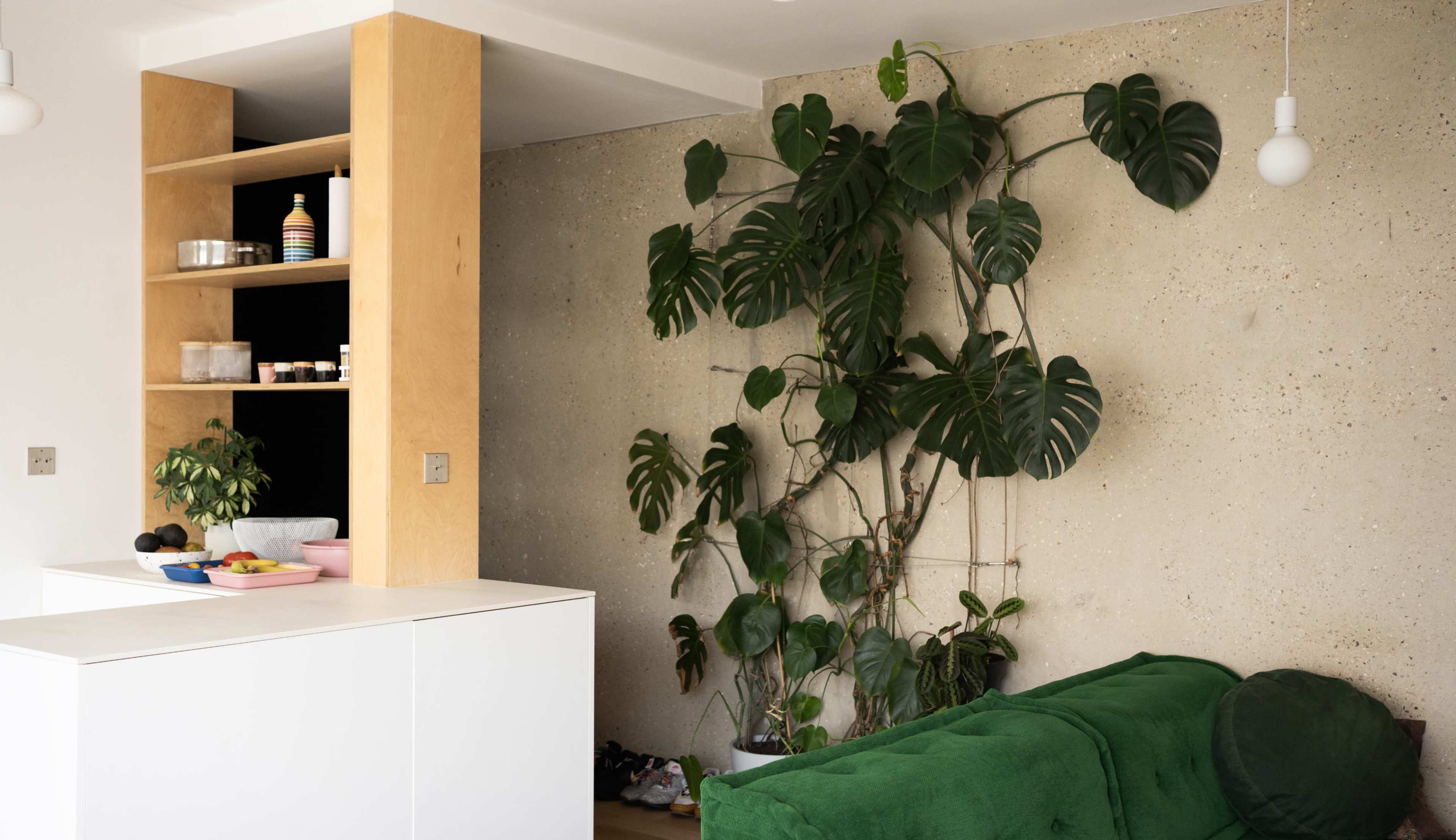 The image shows a contemporary living space with a white kitchen island, a green sofa, and a prominent Monstera plant against a textured concrete wall.