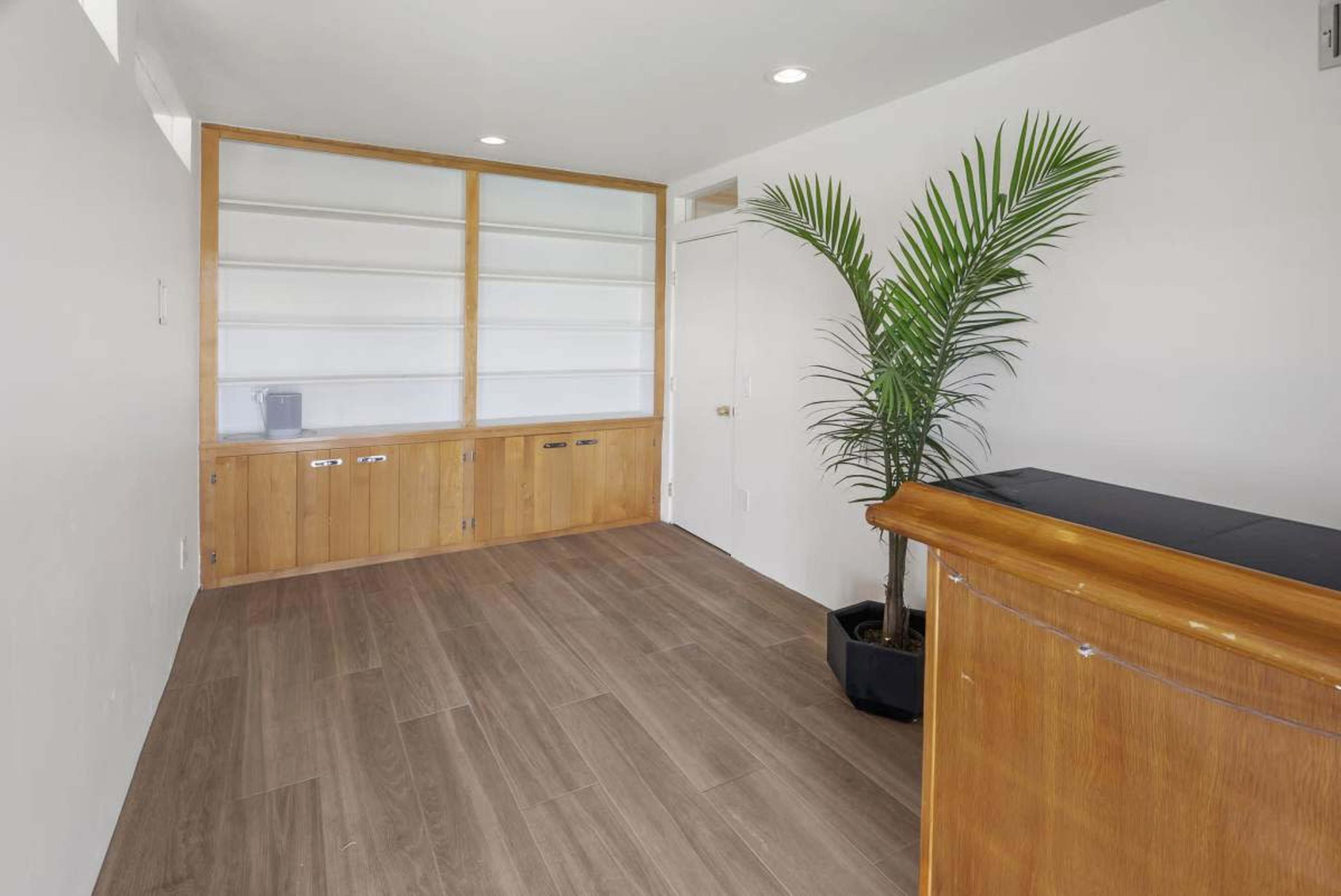 The image shows an empty room with wooden flooring, a wooden reception desk on one side, and a large potted palm plant in the corner.