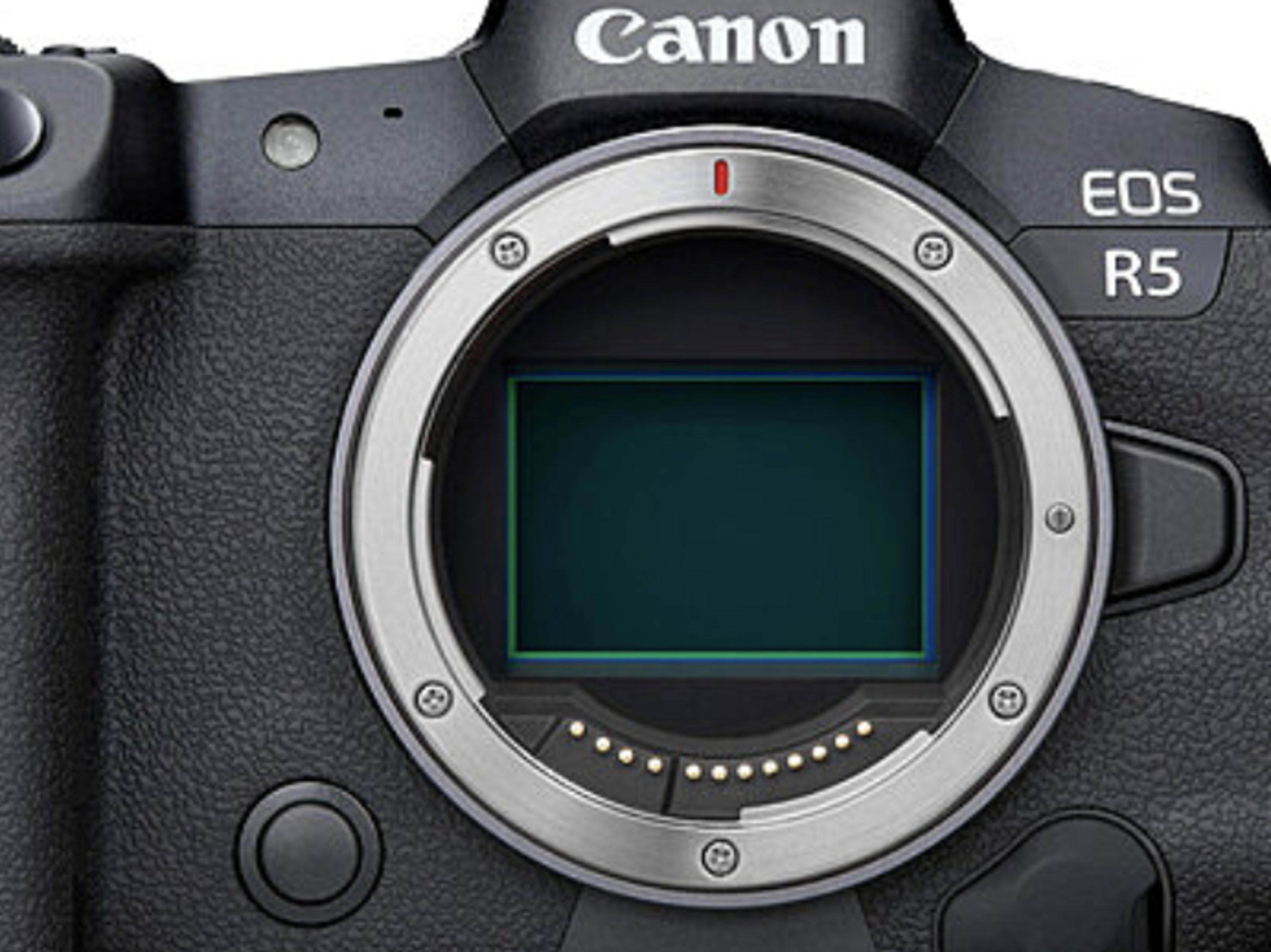 Canon R5 - IN STUDIO ONLY  |  4+ Hours