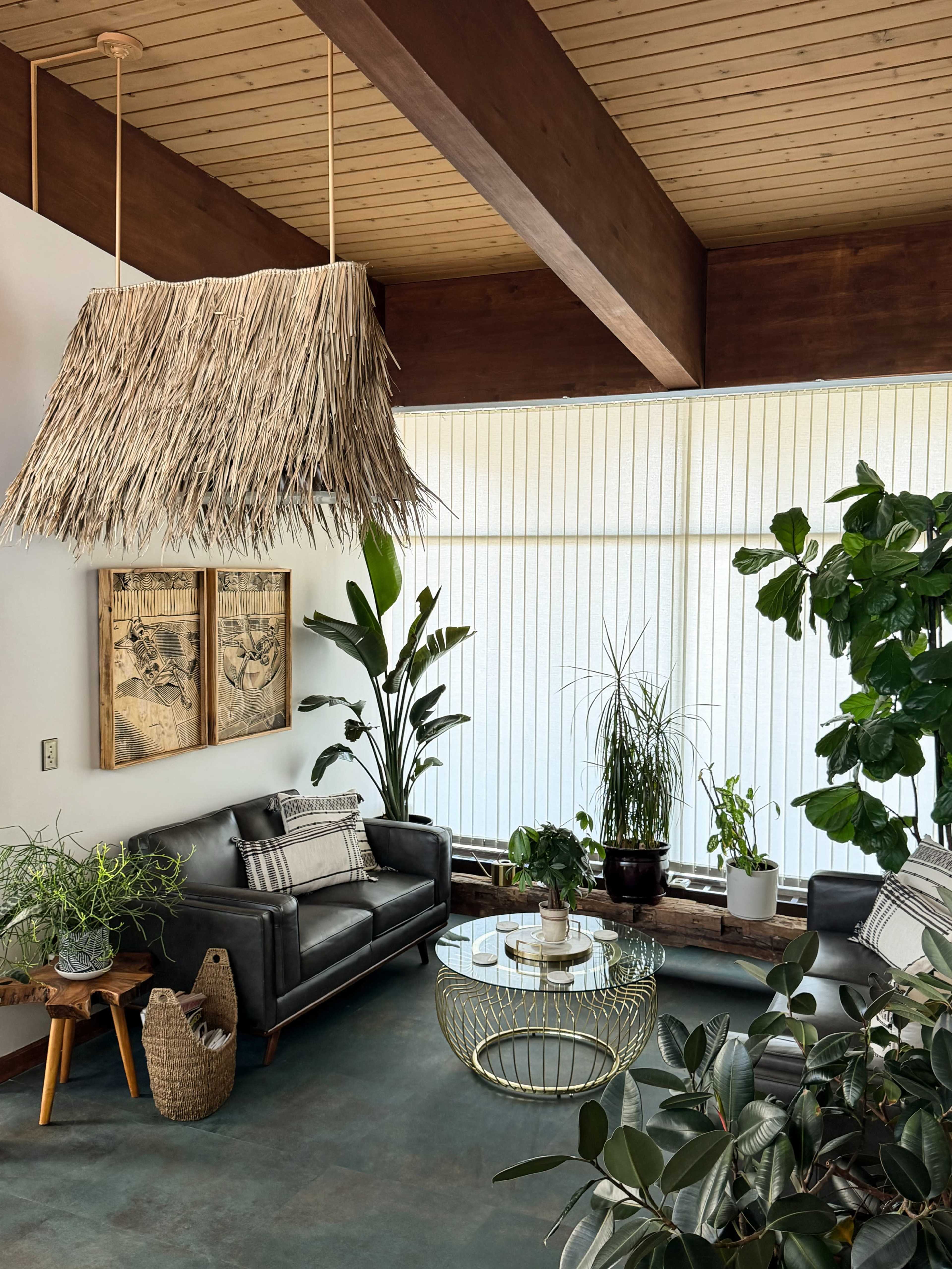 The image shows a modern living room with two dark leather sofas, a glass coffee table, indoor plants, and a large woven pendant light hanging from the ceiling.