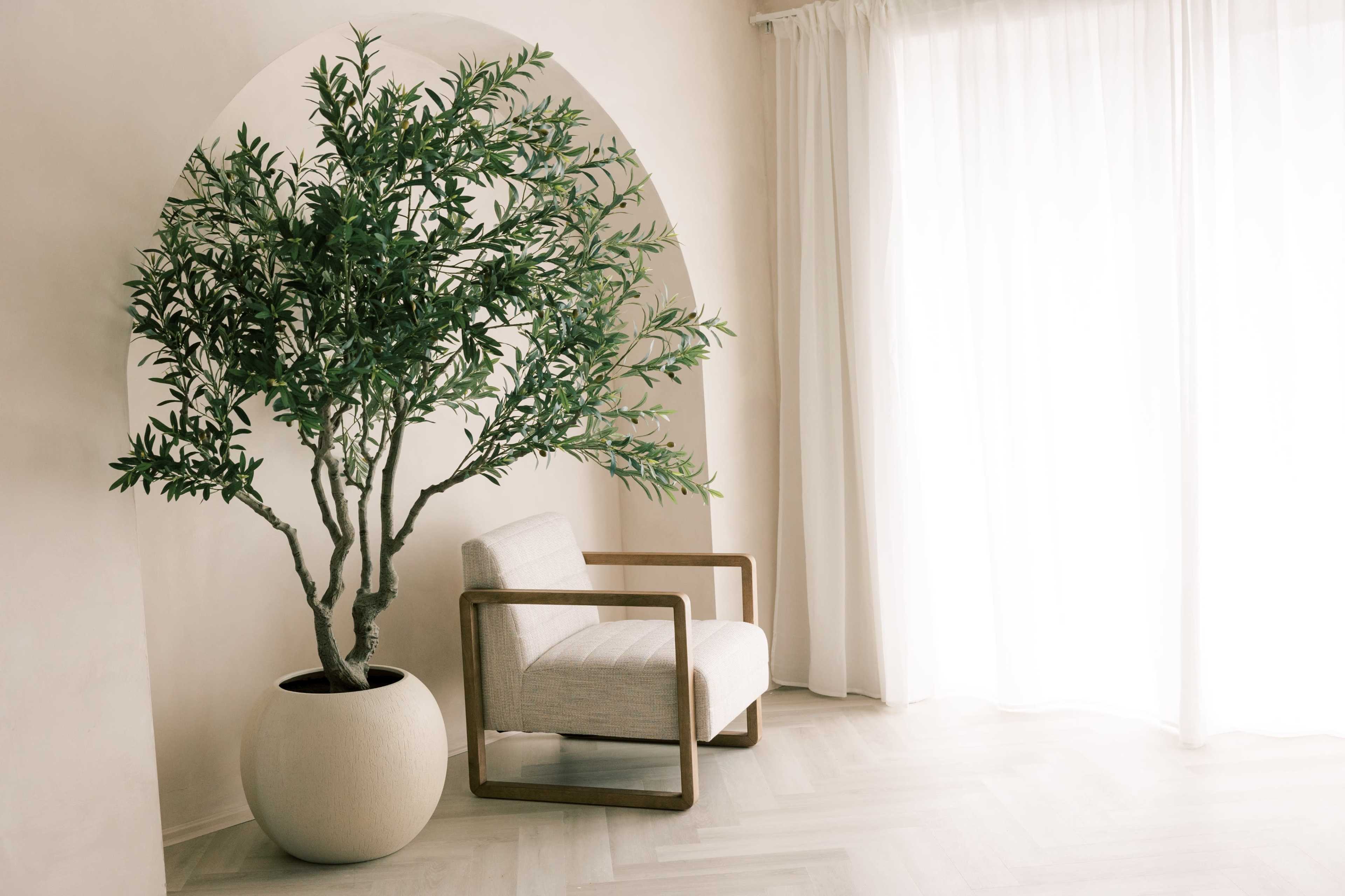 A potted tree stands next to a modern chair in a softly lit interior space with white curtains.