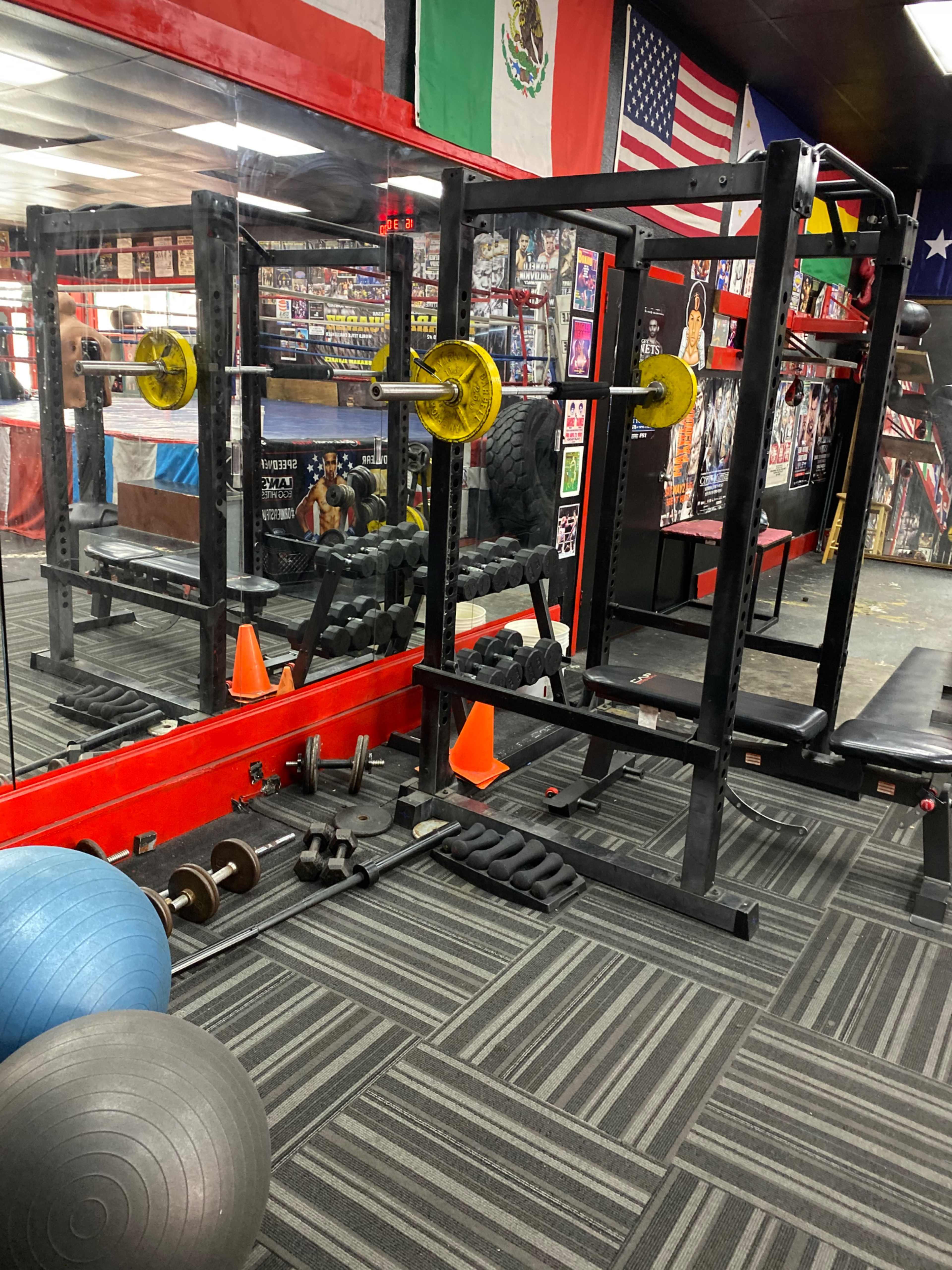 A gym area with a squat rack, weights, exercise balls, and a mirrored wall, surrounded by various flags and posters.