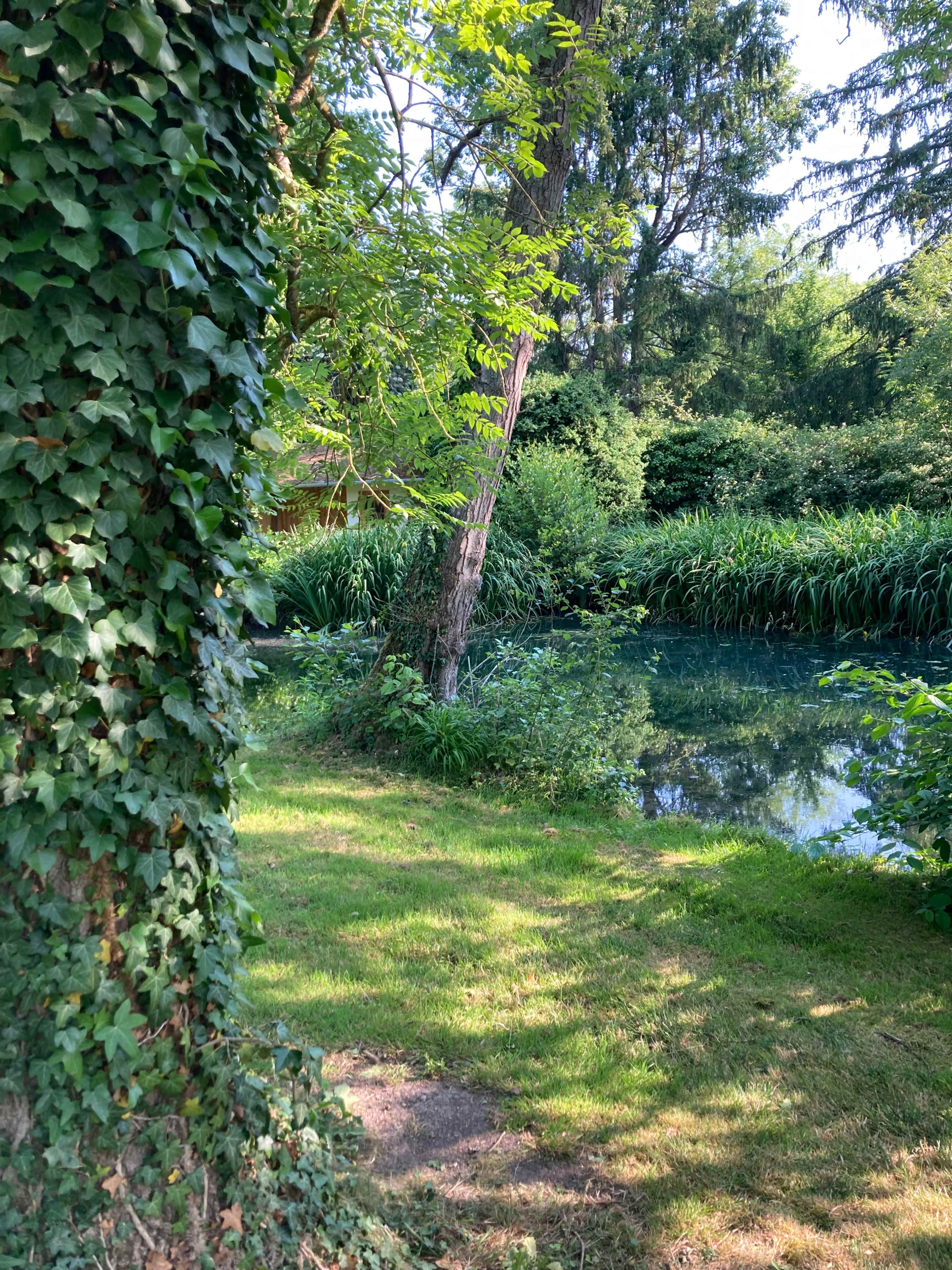 A peaceful scene depicts a lush green area by a tranquil pond, surrounded by trees and dense foliage.