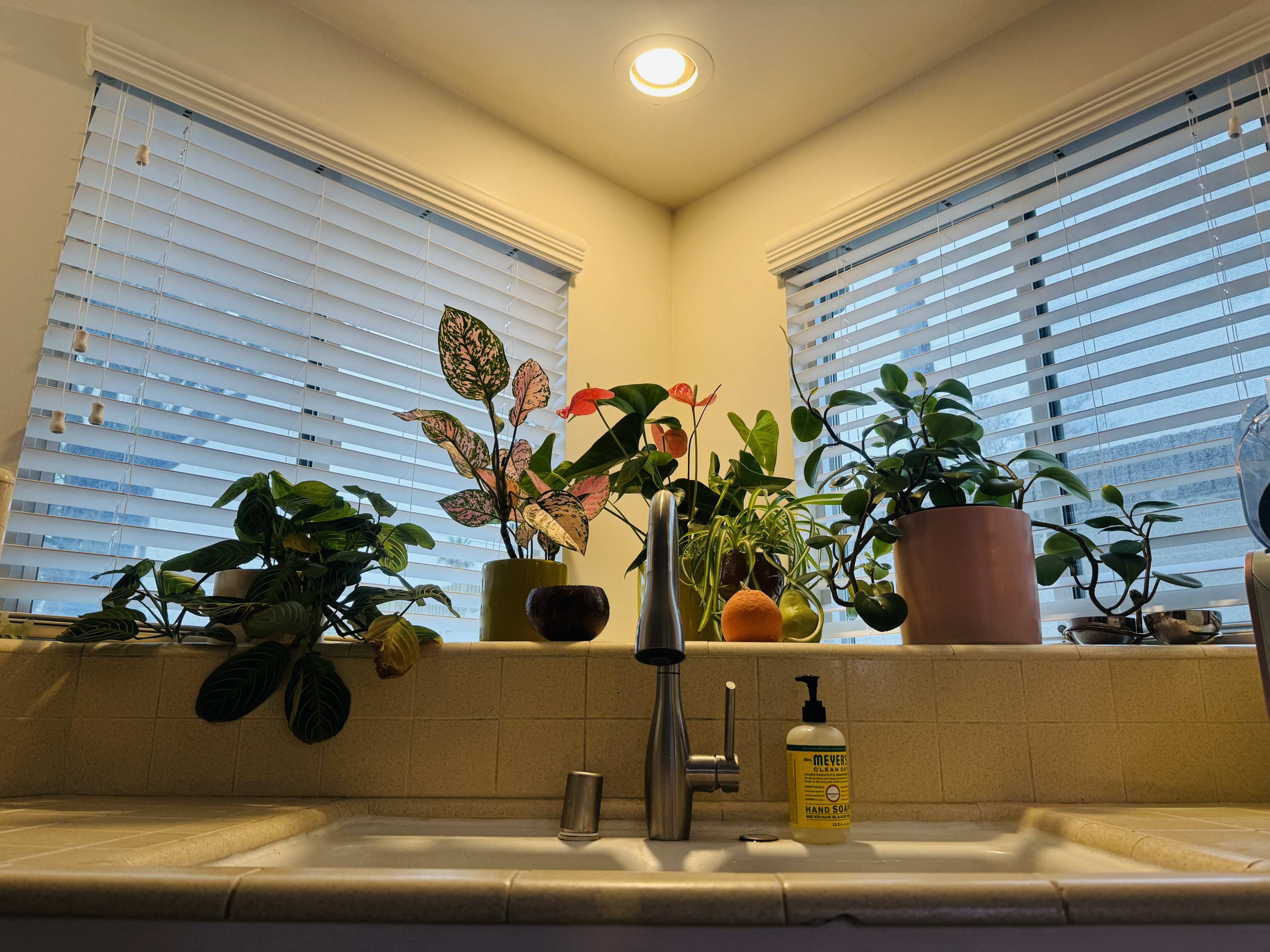 Mid-Century Pool House Image in San Pedro, San Pedro, CA