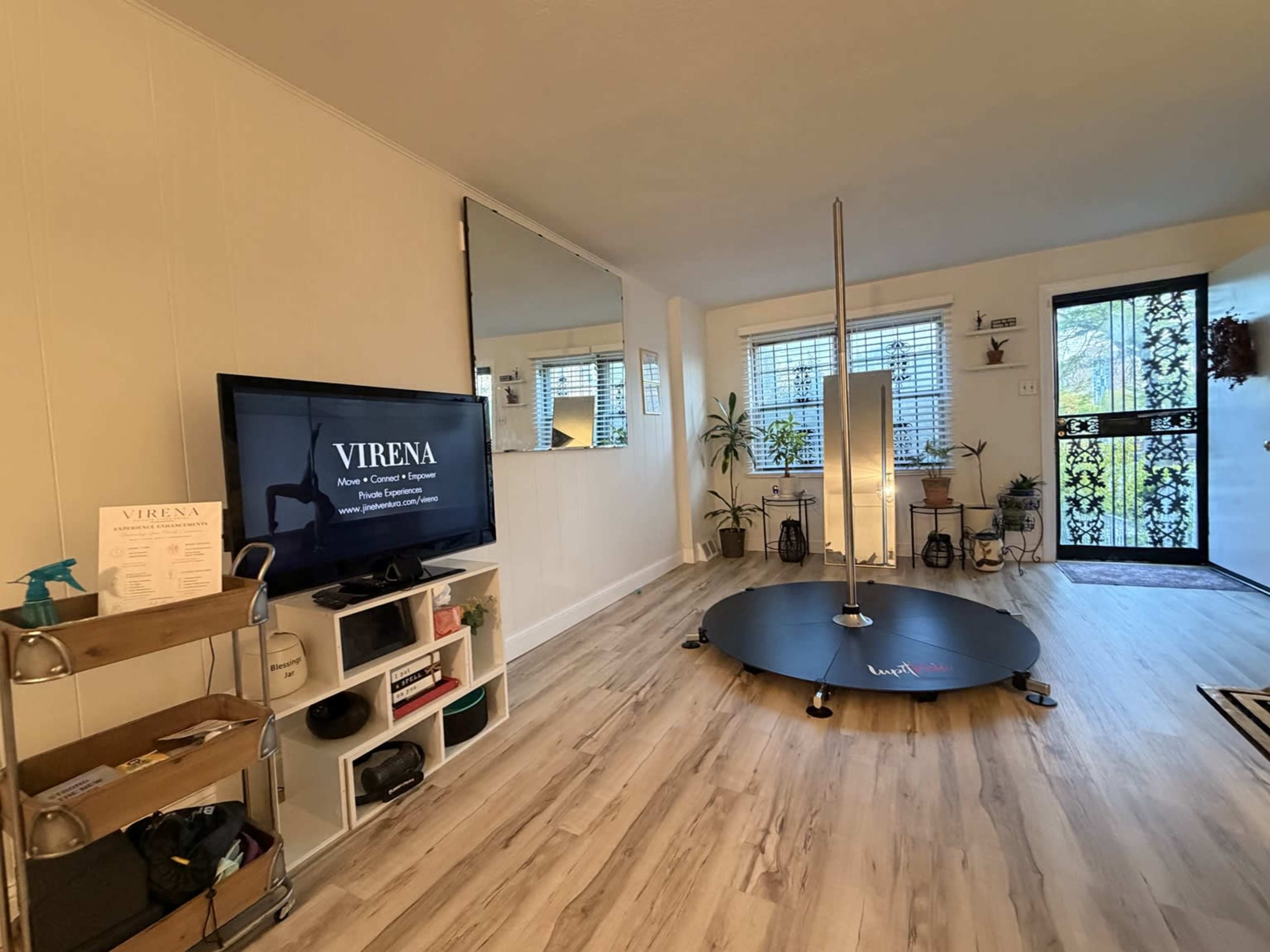 The image shows a spacious room with a dance pole, a television on a stand, and a large mirror, along with plants and an entrance door with decorative glass.
