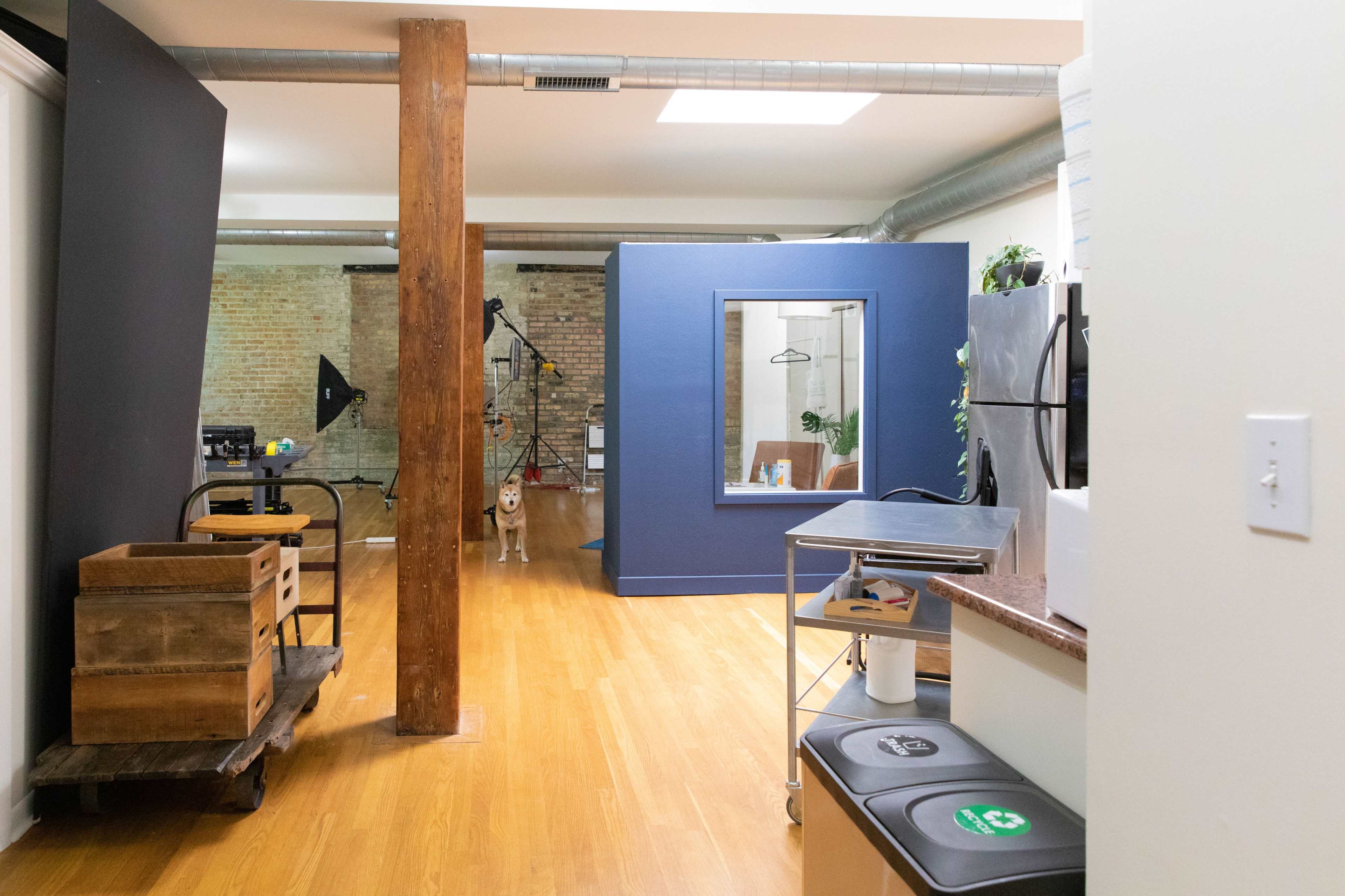 The image shows an open studio space with wooden flooring, a kitchen area, and a blue partition in the middle, featuring a dog standing nearby.