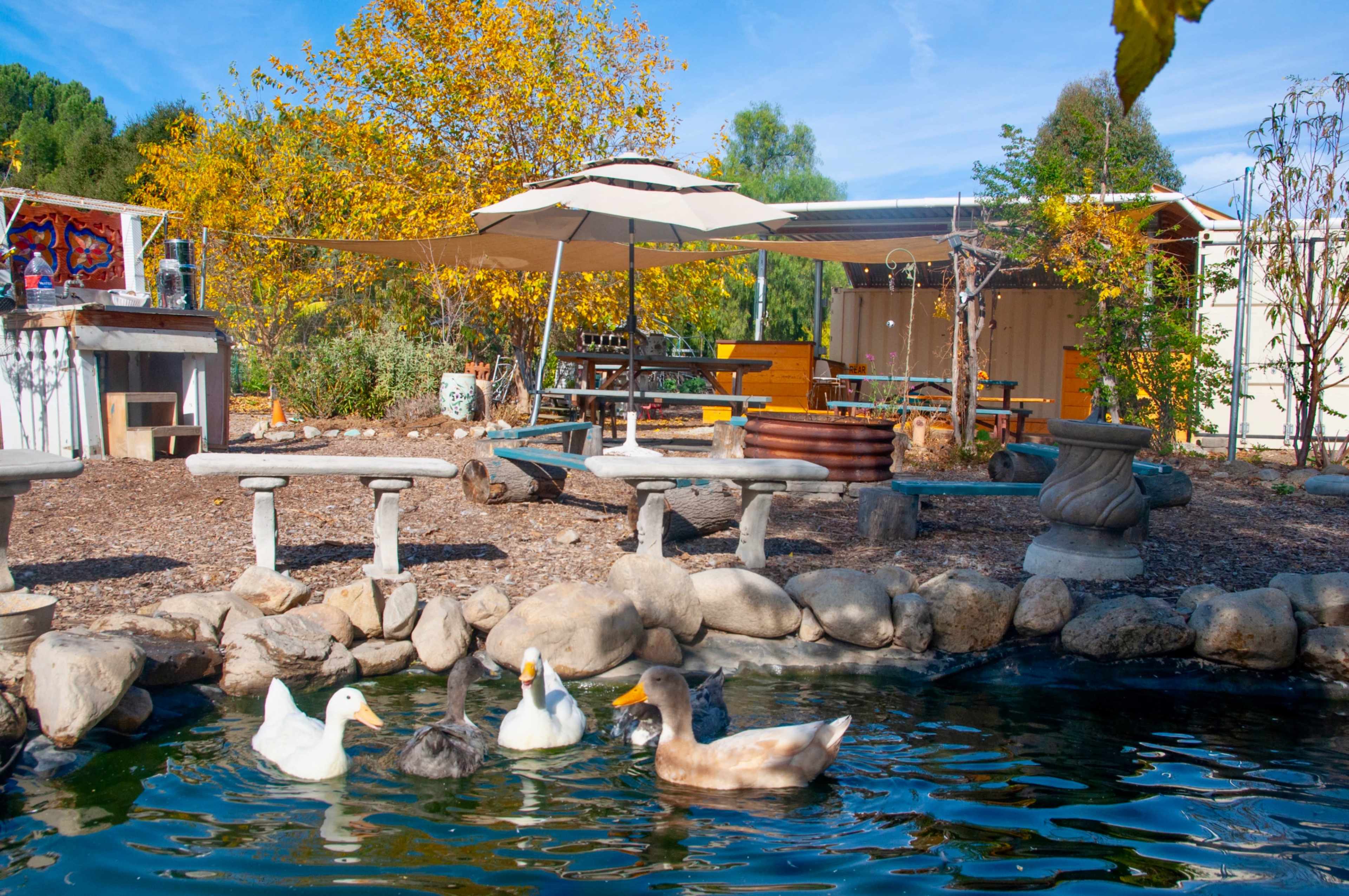 Serene Oak Grove Ranch & Garden Sanctuary | Santa Clarita Image in Hasley Canyon, Castaic, CA