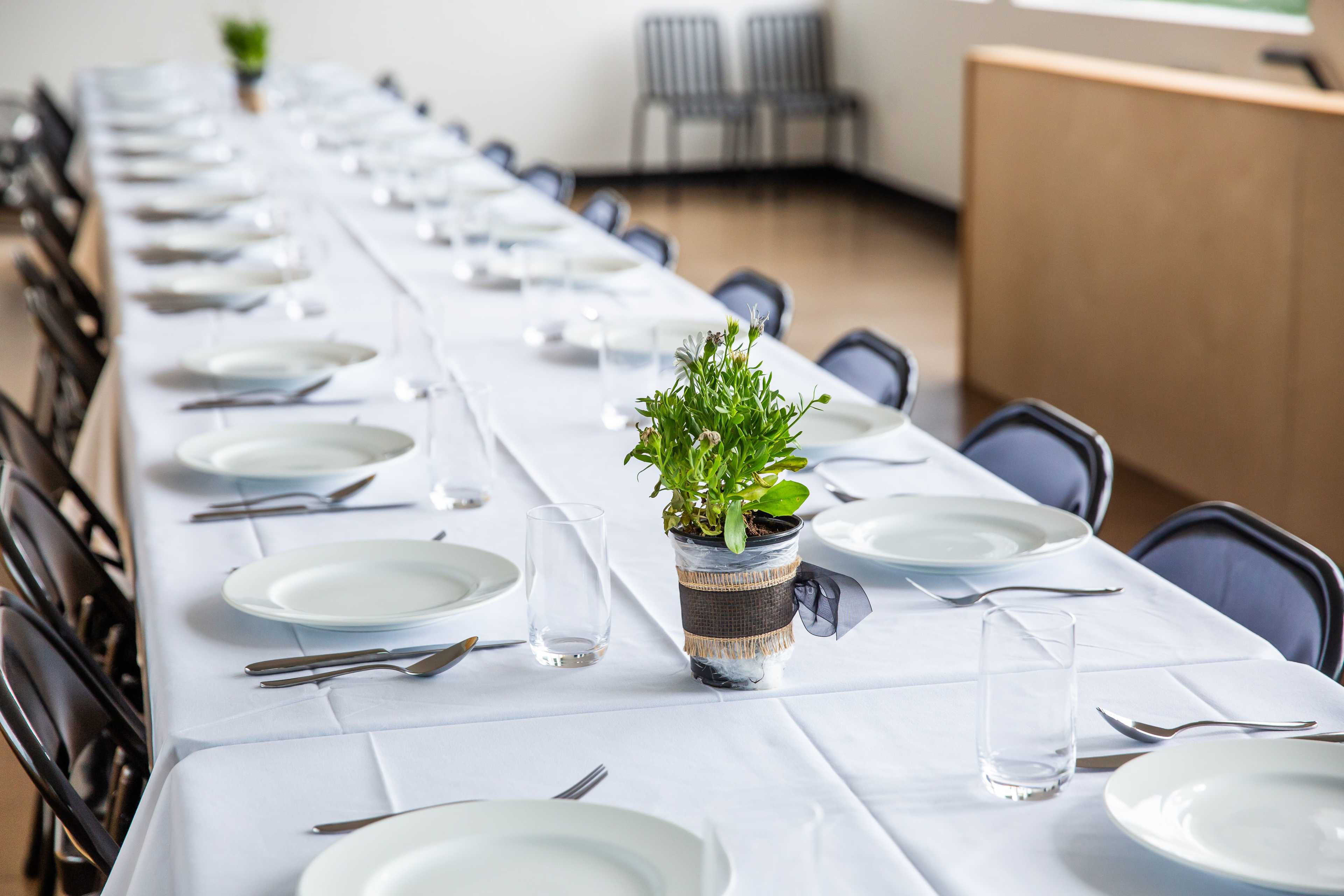 A long table is set for a meal, featuring white plates, flatware, glasses of water, and a potted plant as a centerpiece.