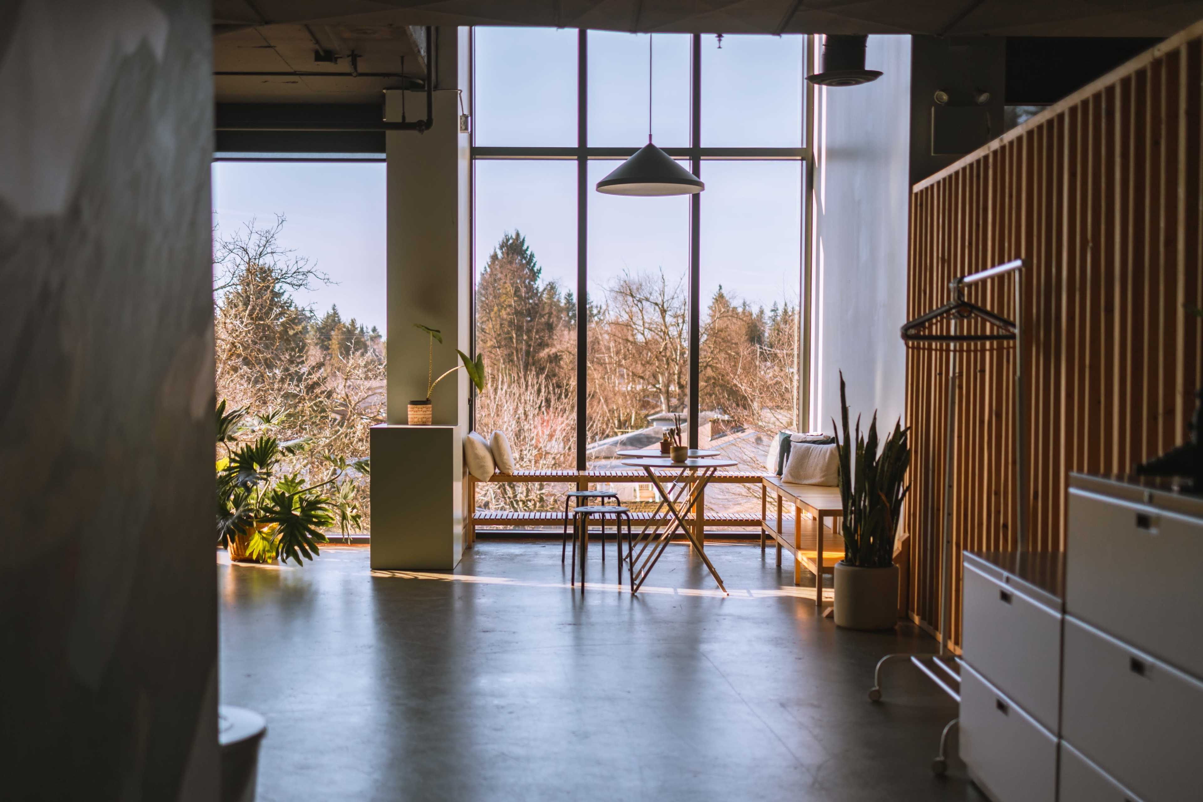 A modern, well-lit interior living space with large windows revealing a view of trees outside, featuring minimalist furniture and indoor plants.