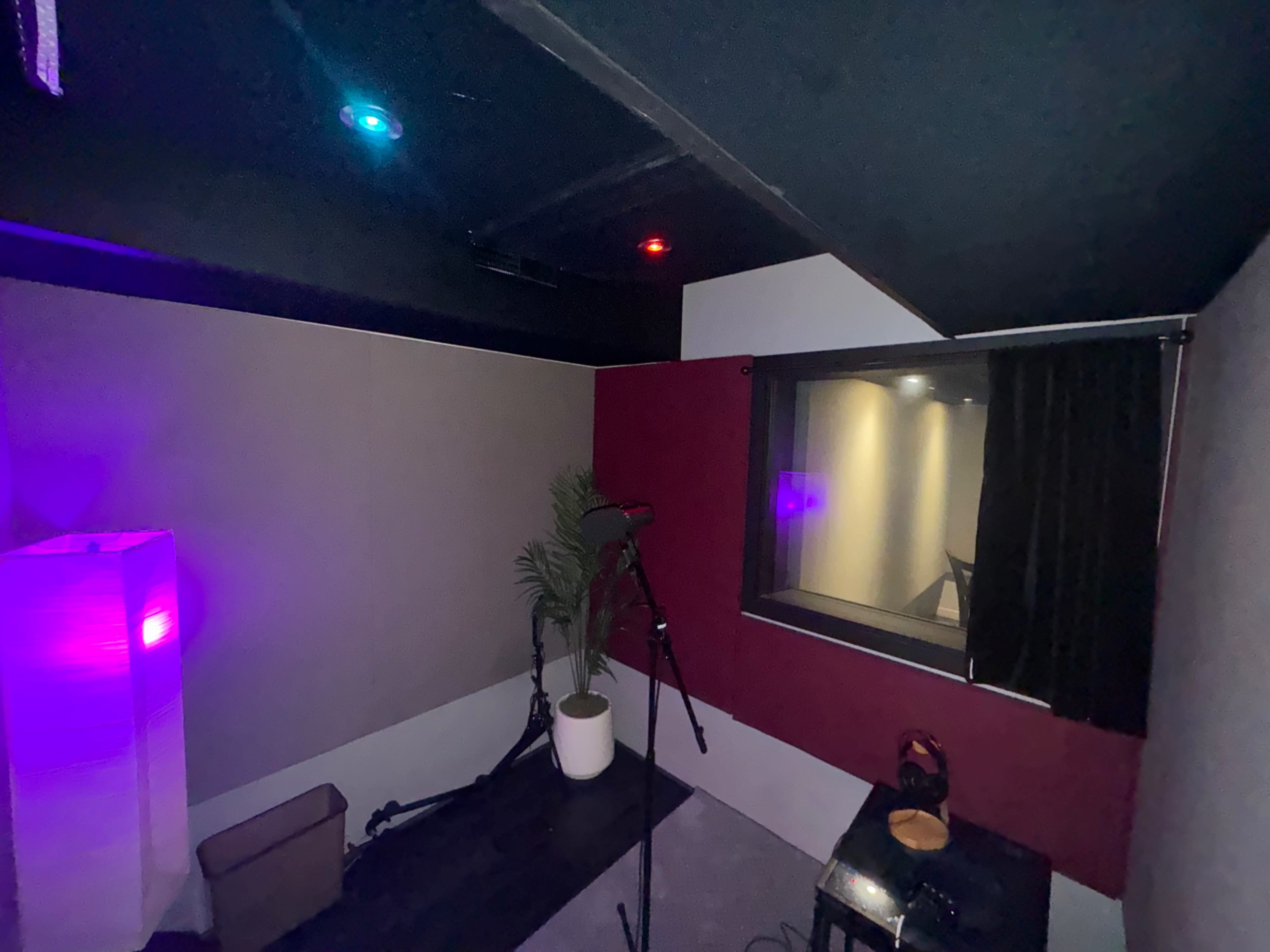 The image shows a small recording studio with soundproof walls, a microphone on a stand, a potted plant, and a glass window looking into another room.