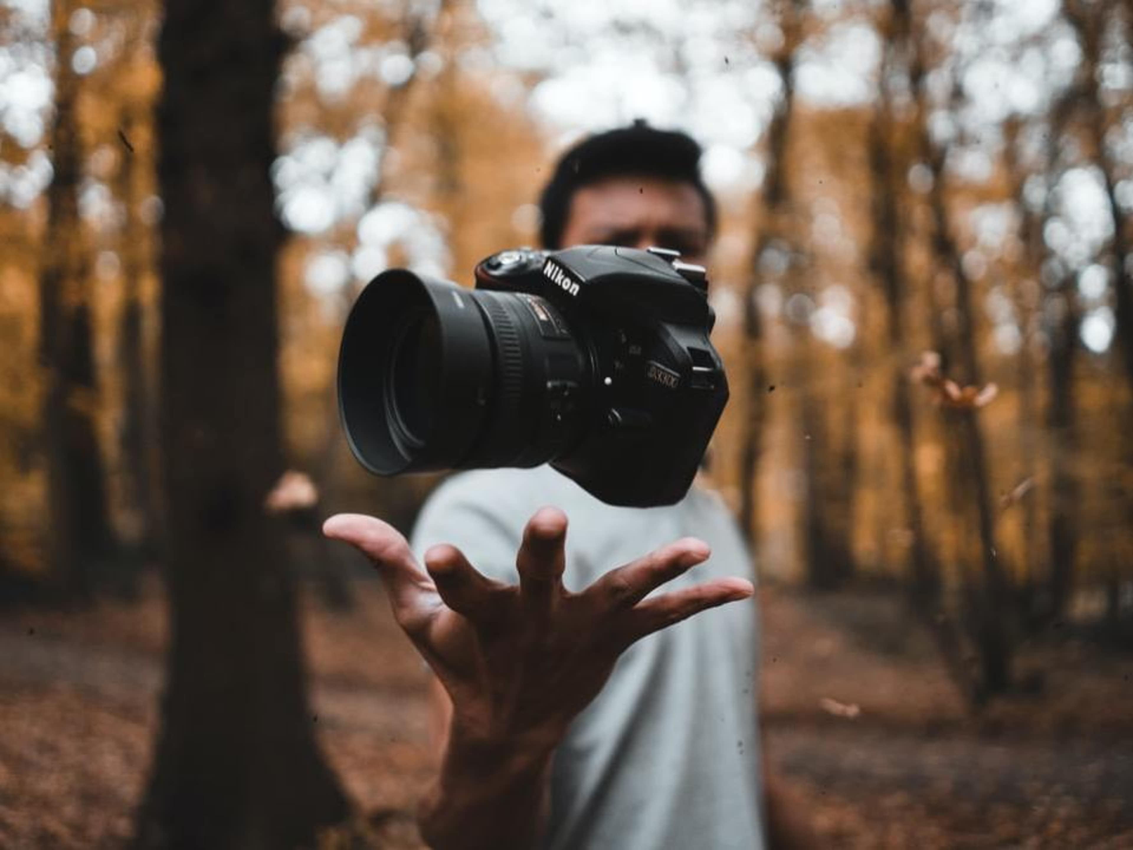 Professional Photographer