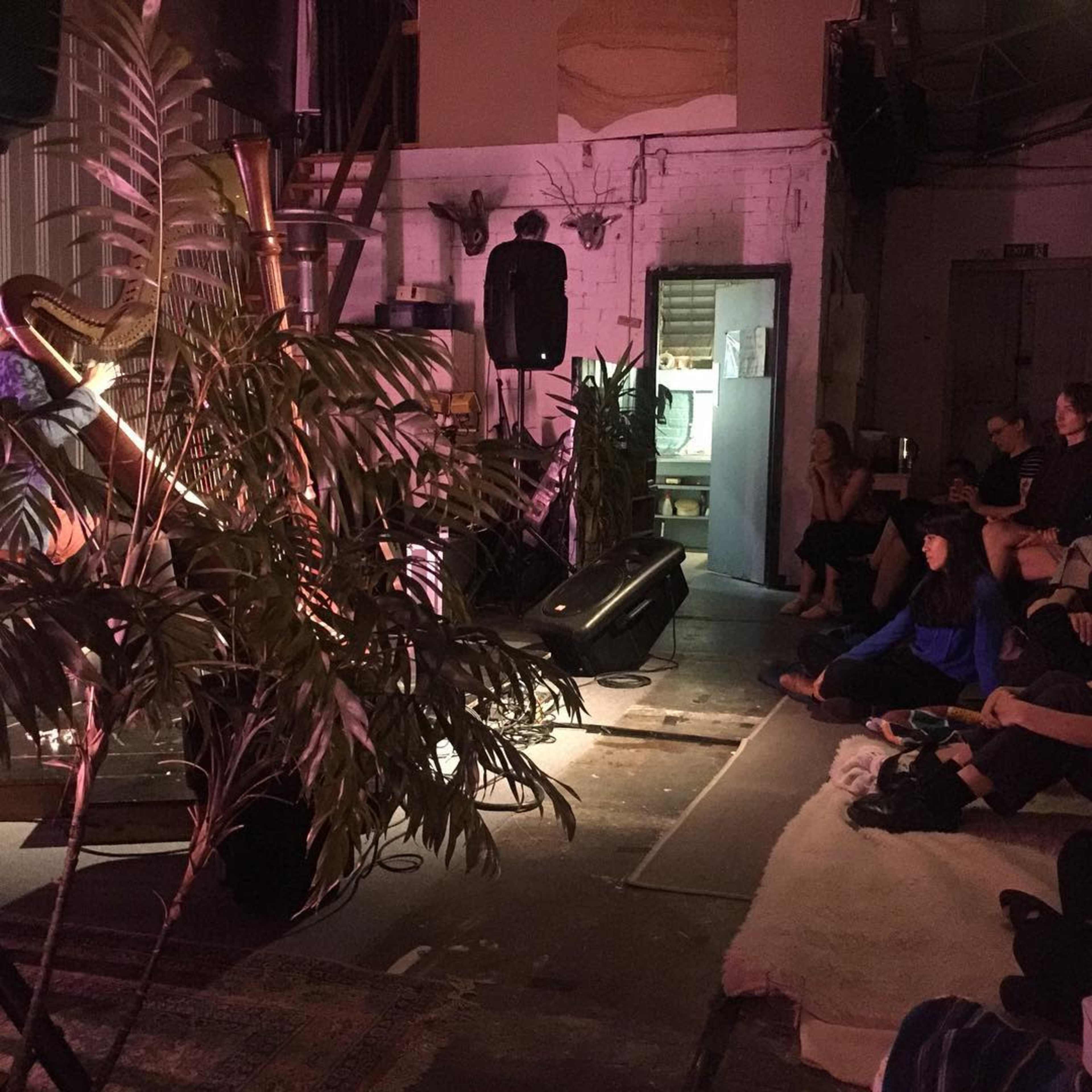 A small audience sits on the floor of an artistic space, listening to a performance illuminated by soft lighting and surrounded by indoor plants.