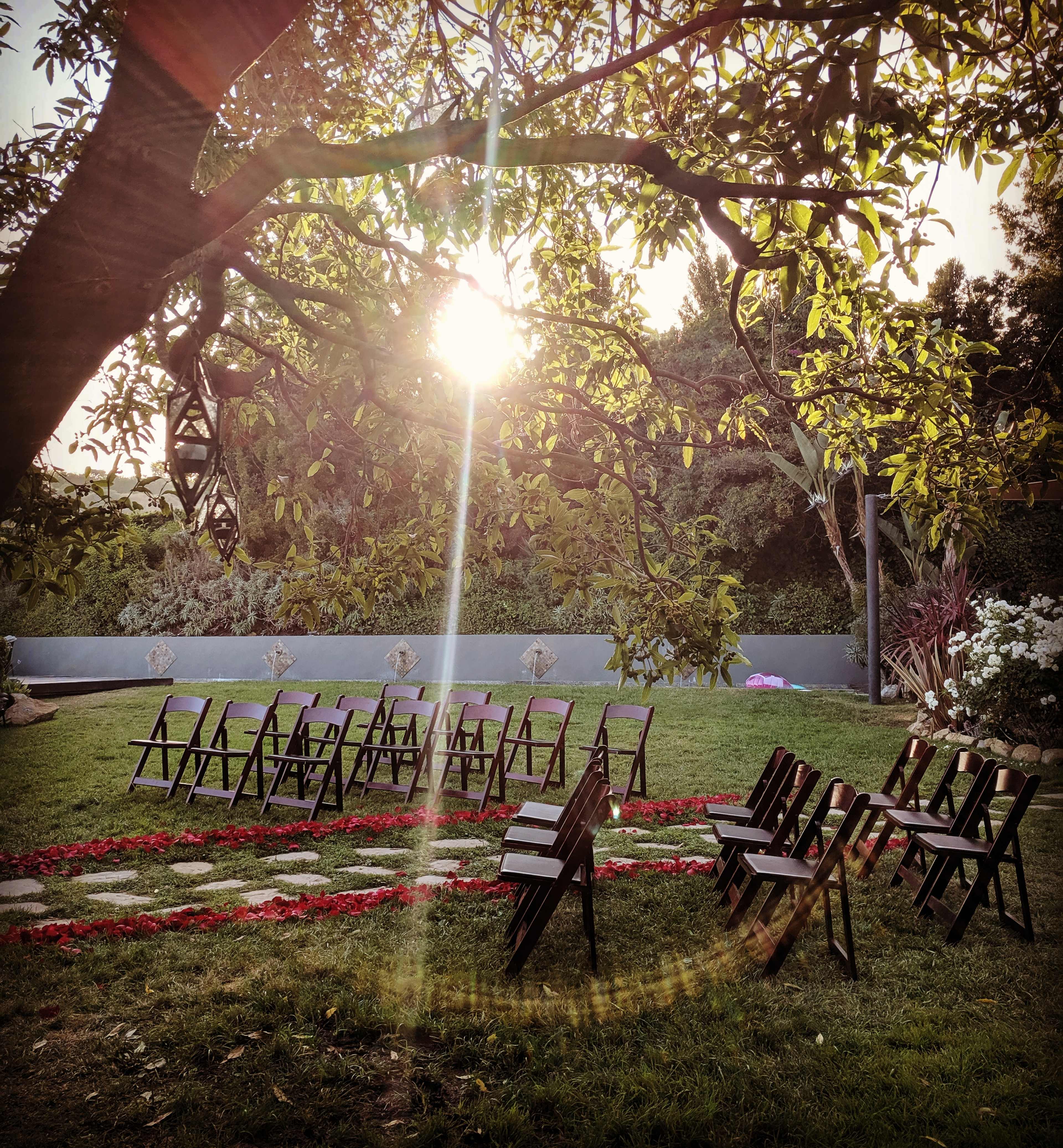 The image shows a small outdoor wedding setup with wooden chairs arranged in rows on a grassy area, surrounded by fallen rose petals and illuminated by sunlight filtering through the trees.