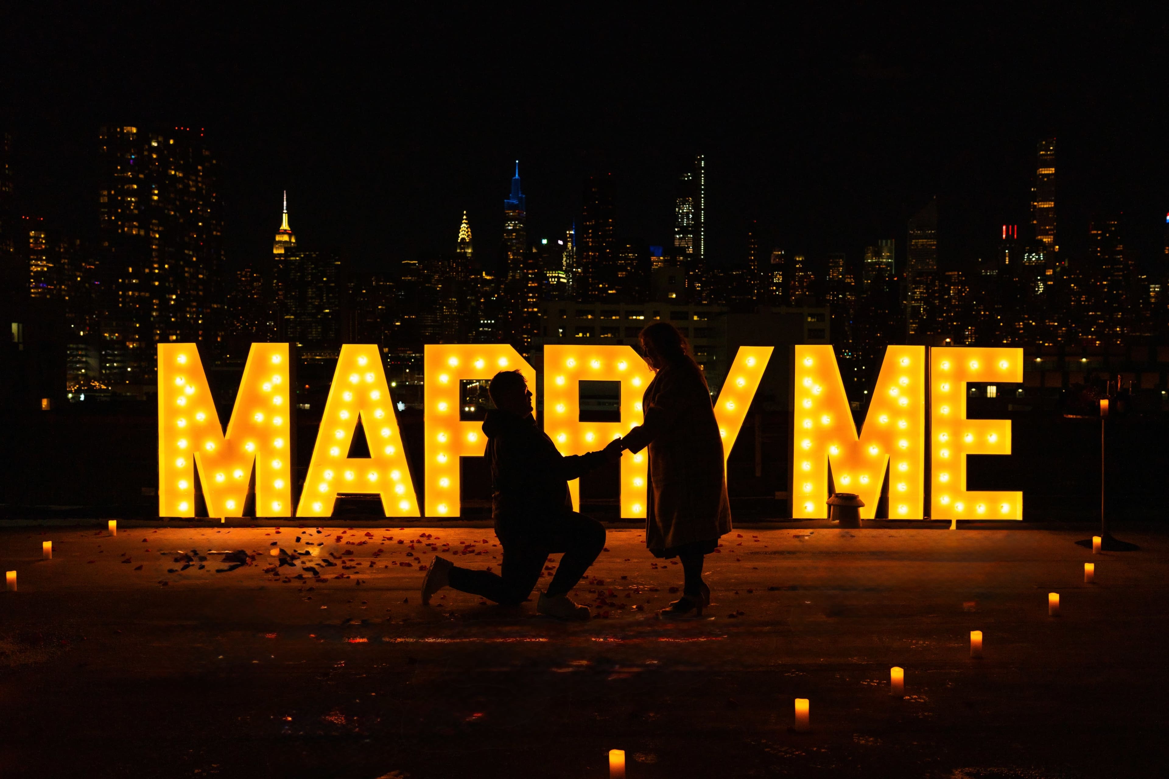 Dream Proposal with City Skyline View Image in Long Island City, Long Island City, NY
