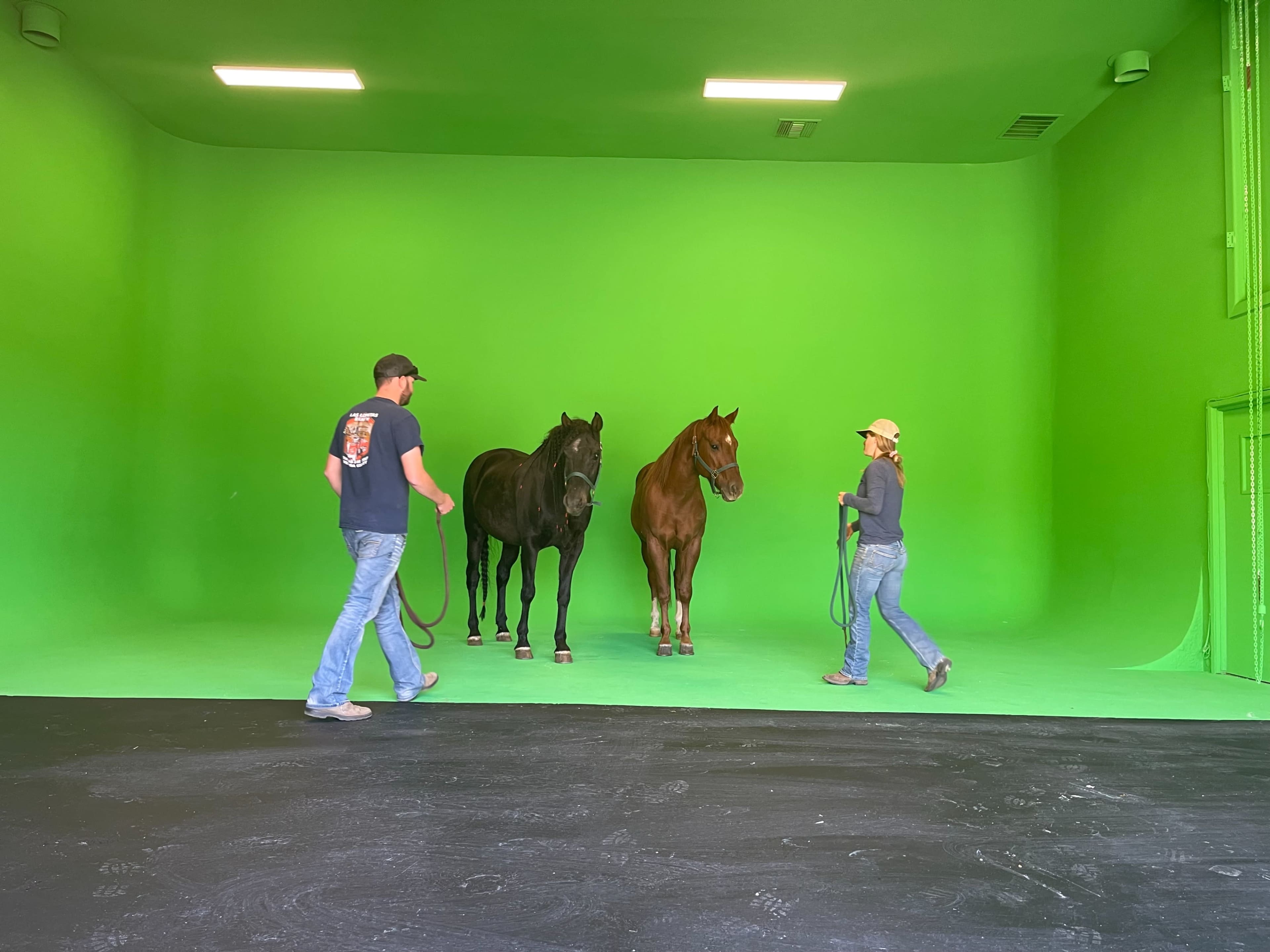 Two people lead two horses in a spacious green studio with a smooth floor and green backdrop.