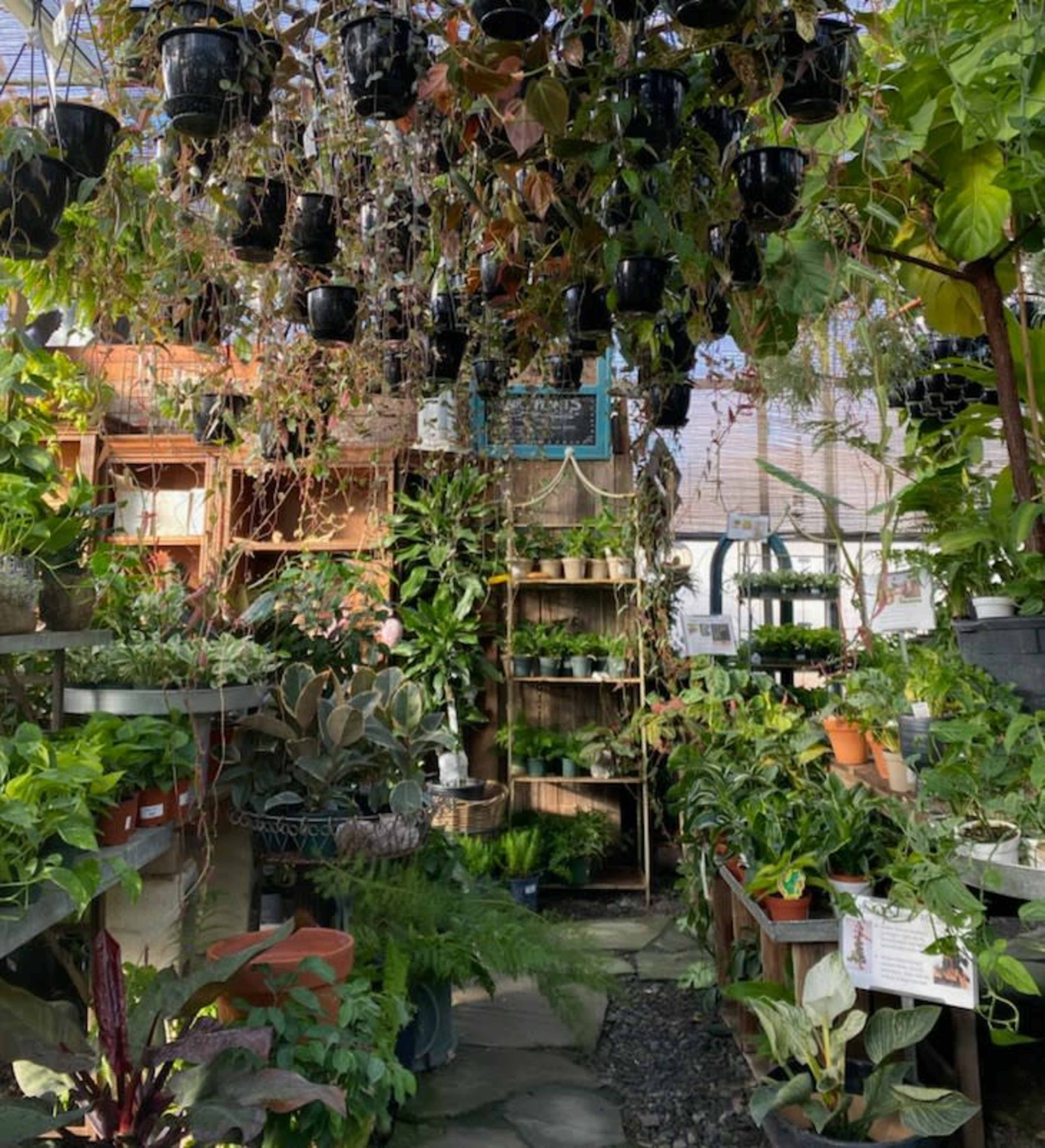 Gorgeous Bountiful Greenhouse Image in Ewing Township, Ewing, NJ
