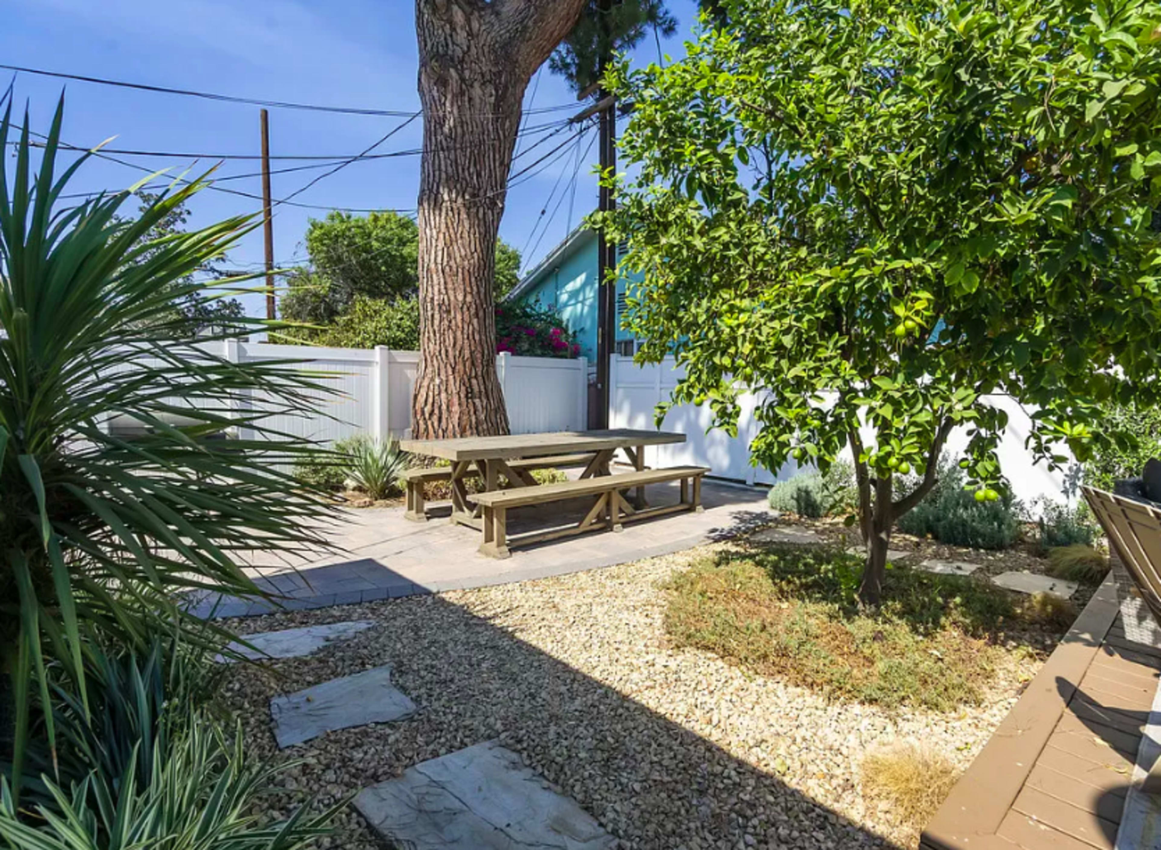 A picnic table sits on a stone patio surrounded by shrubs and a lemon tree in a fenced yard.