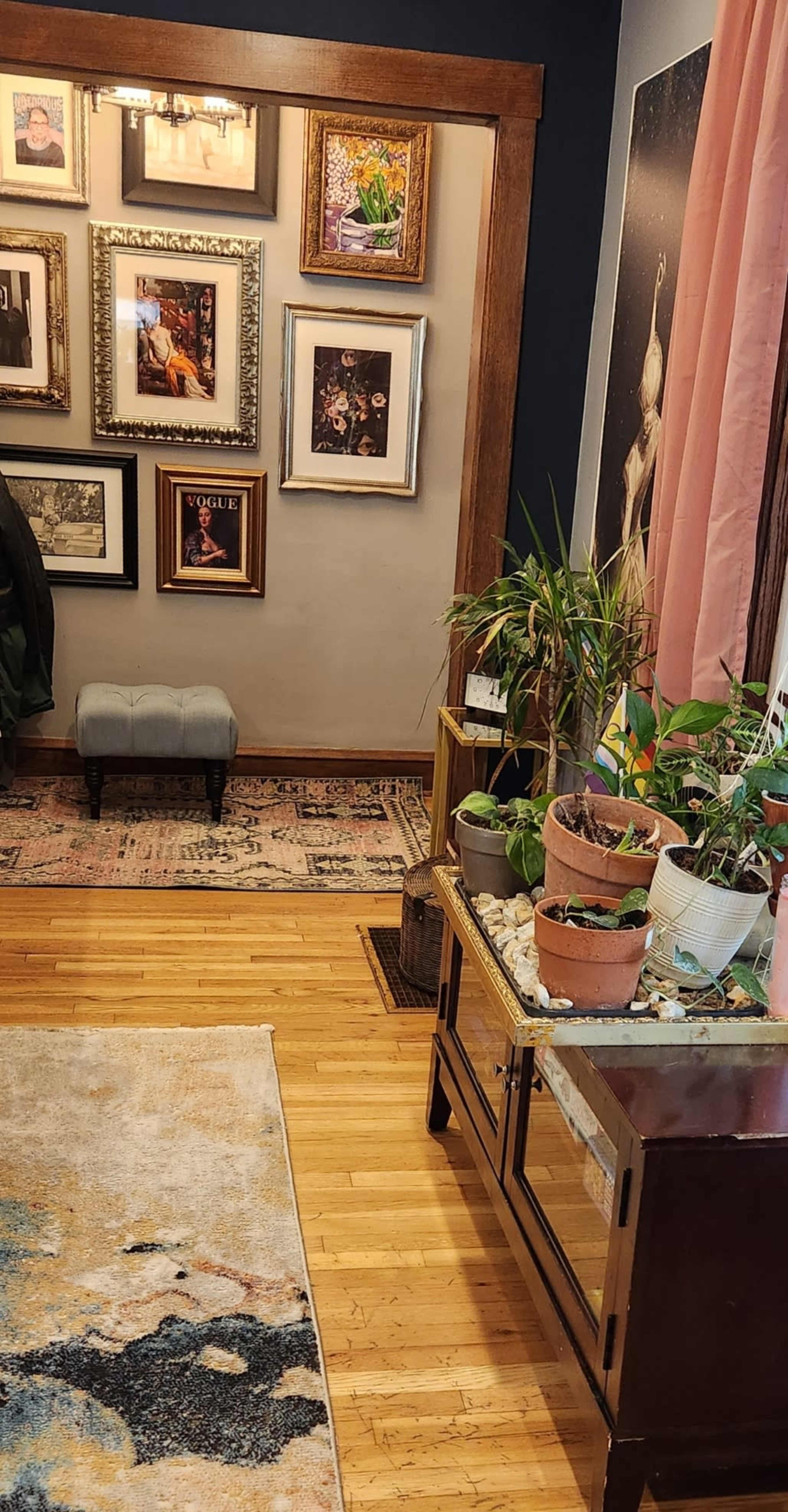 A hallway with framed photos on the wall, a small upholstered ottoman, potted plants on a side table, and a rug on the wooden floor.