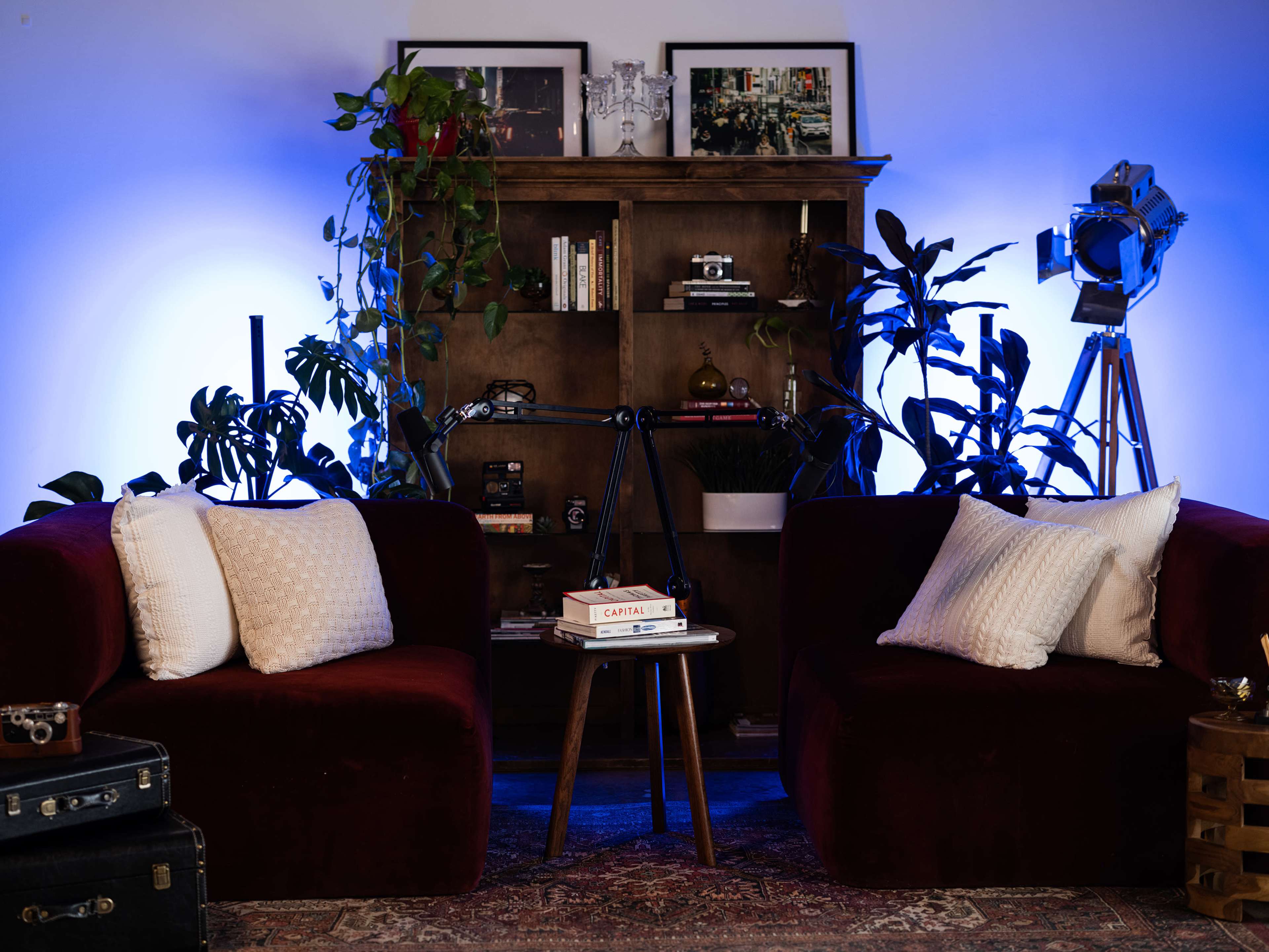 A cozy seating area features two plush maroon couches with white pillows, surrounded by plants and a wooden bookshelf, with a small table holding books and vintage cameras, illuminated by blue lighting.