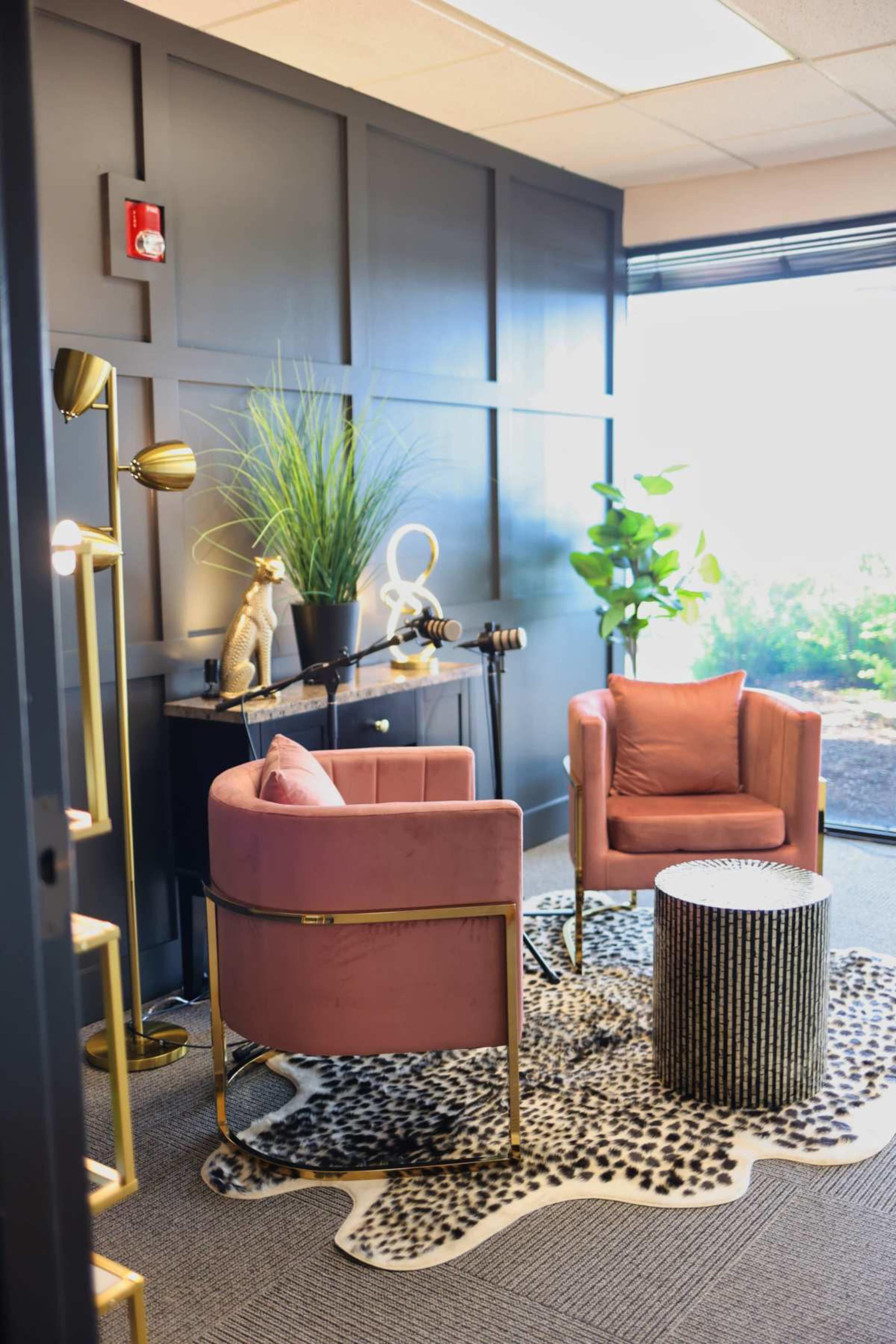 Chicago West Suburban Video + Podcast + Photography Studios Image in Lisle Township, Downers Grove, IL