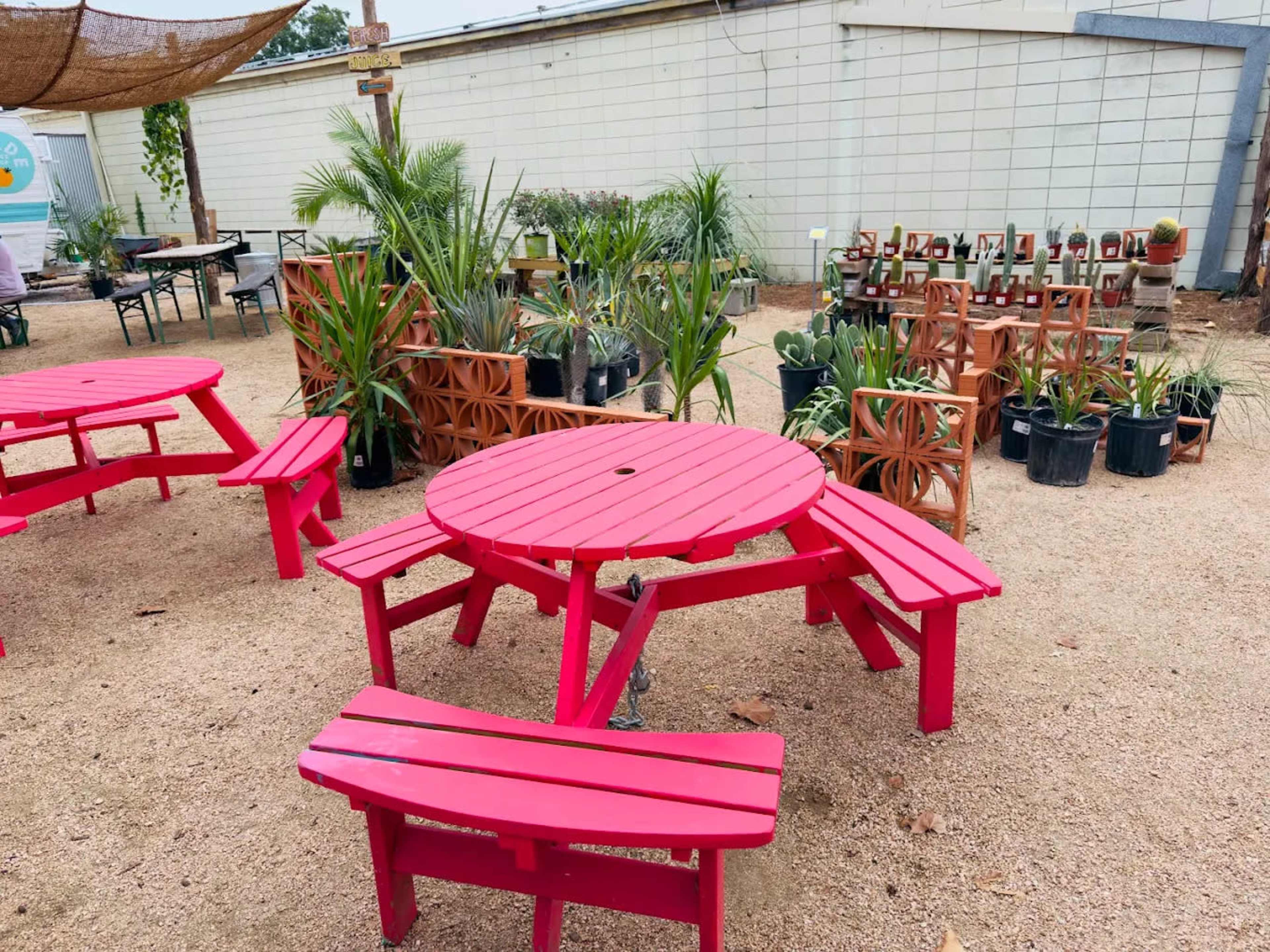 The image shows a garden area with red-painted picnic tables surrounded by various potted plants and cacti.