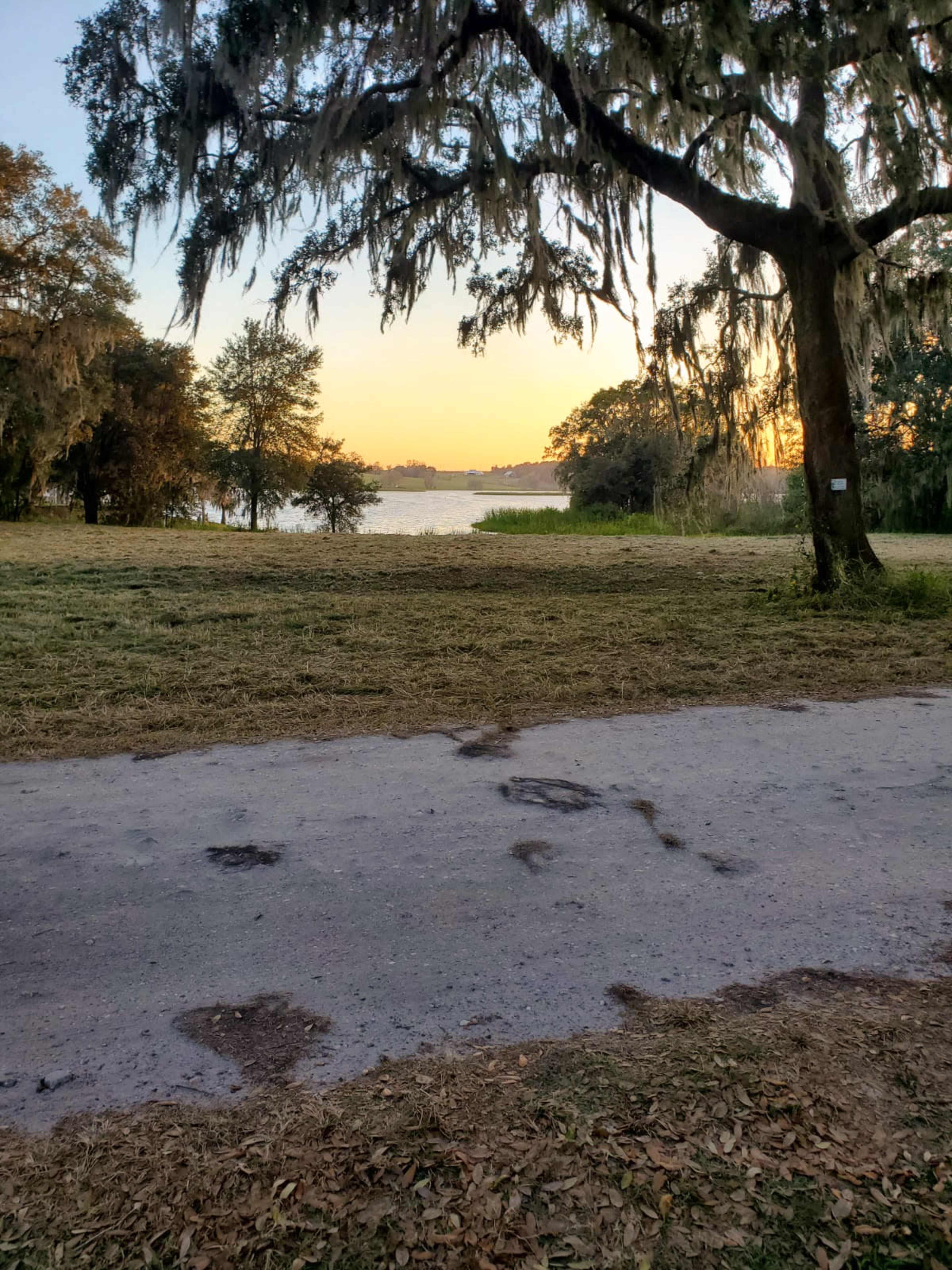 The scene shows a grassy area bordered by a dirt path, with a view of a lake at sunset framed by trees and hanging Spanish moss.