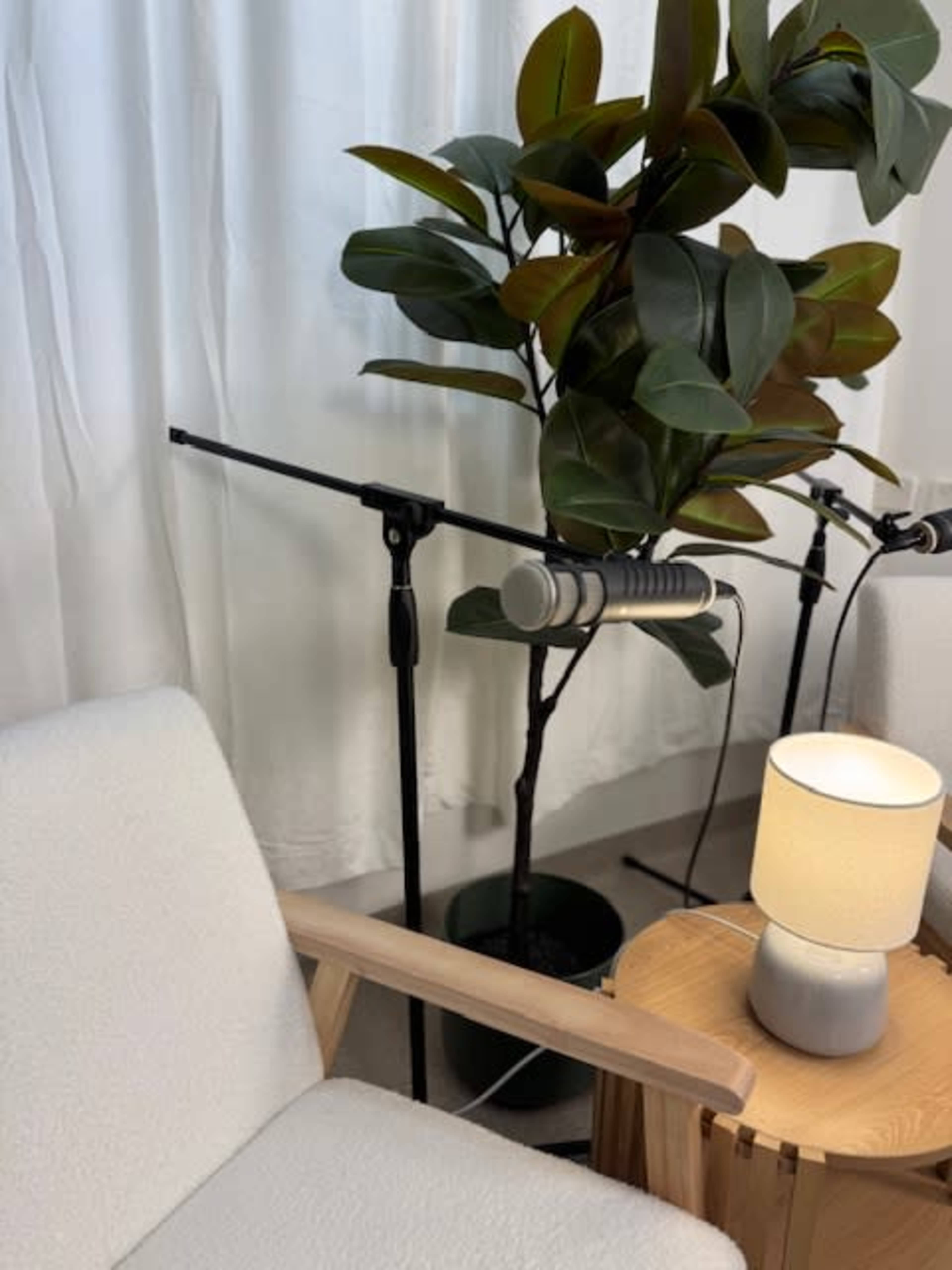 The image shows a cozy setup with two microphones on stands, a small lamp, a potted plant, and a chair in a softly lit environment.