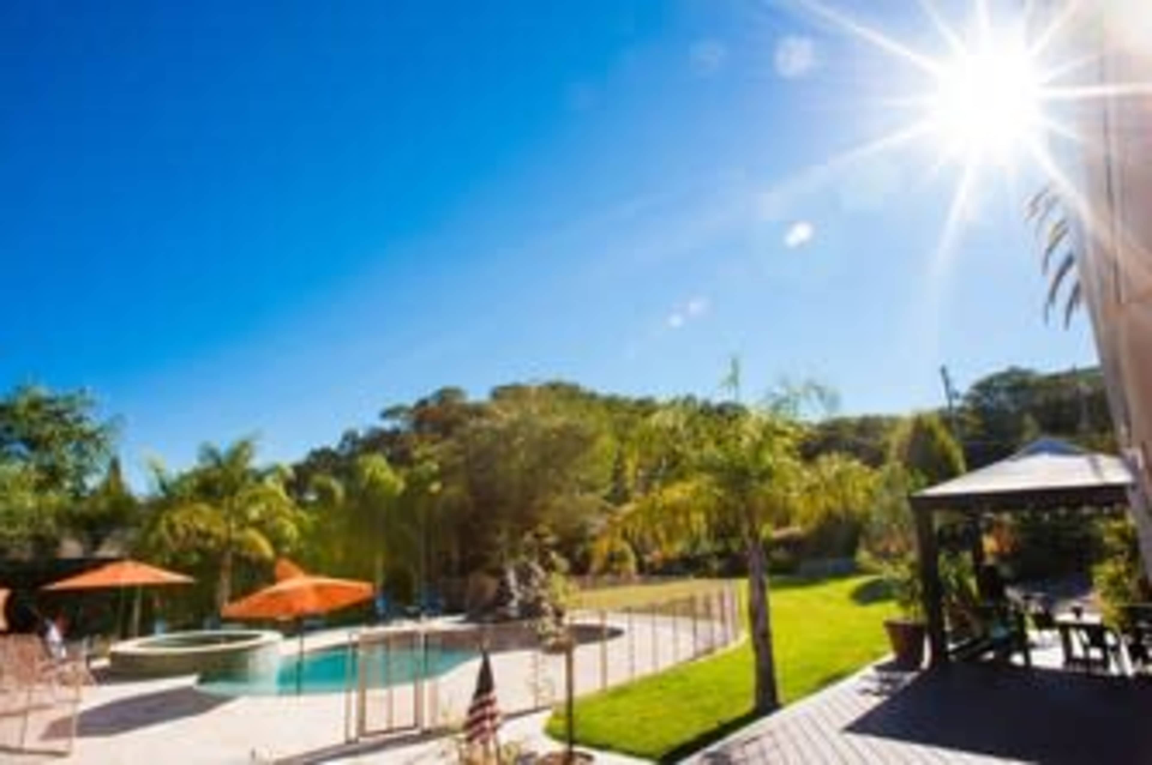A sunny backyard with a swimming pool, surrounded by palm trees and orange umbrellas, and a gazebo in the corner.