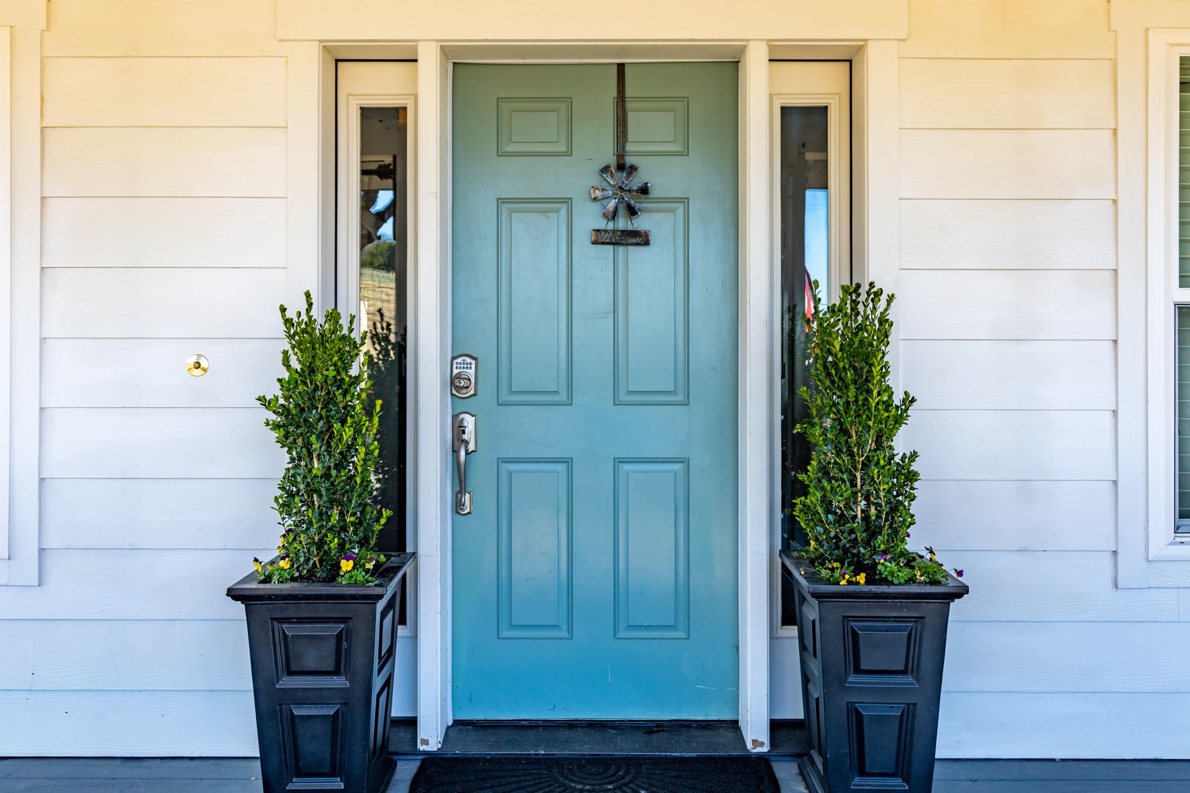 A light blue front door flanked by two black planters containing green shrubs.