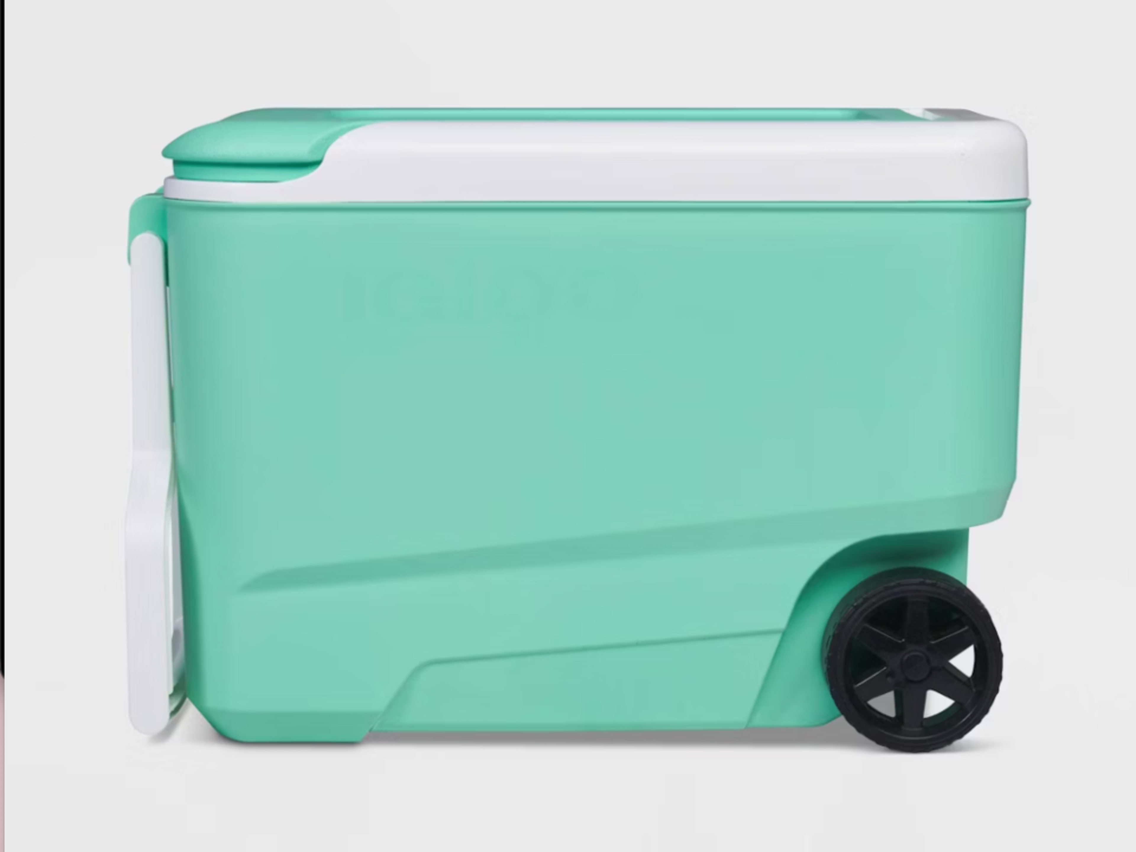 Cooler with ice 